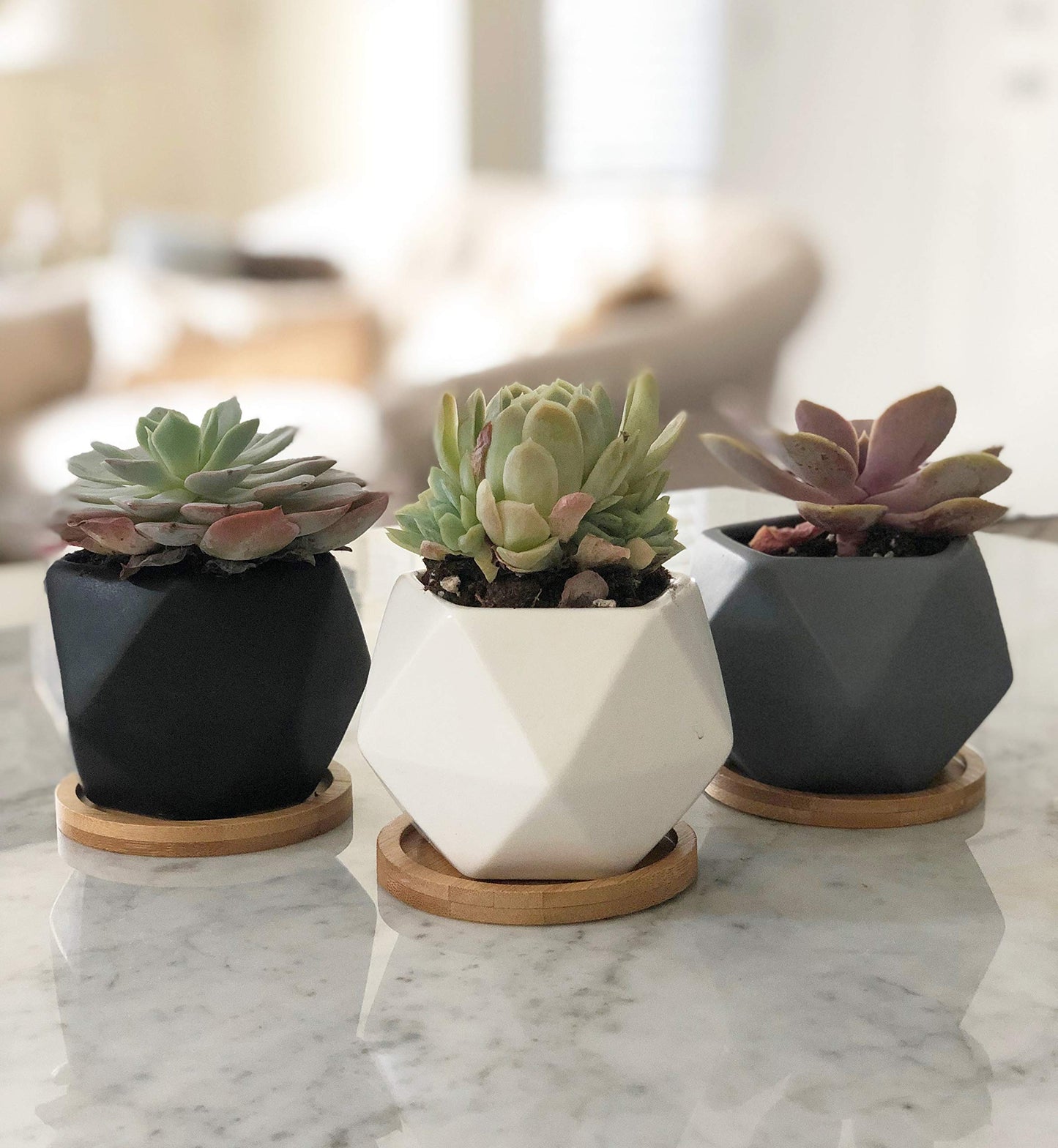 Chez JuJu Modern Geometric Ceramic Succulent Pots 3" Planters with Drainage | Bamboo Tray | 3 Pack