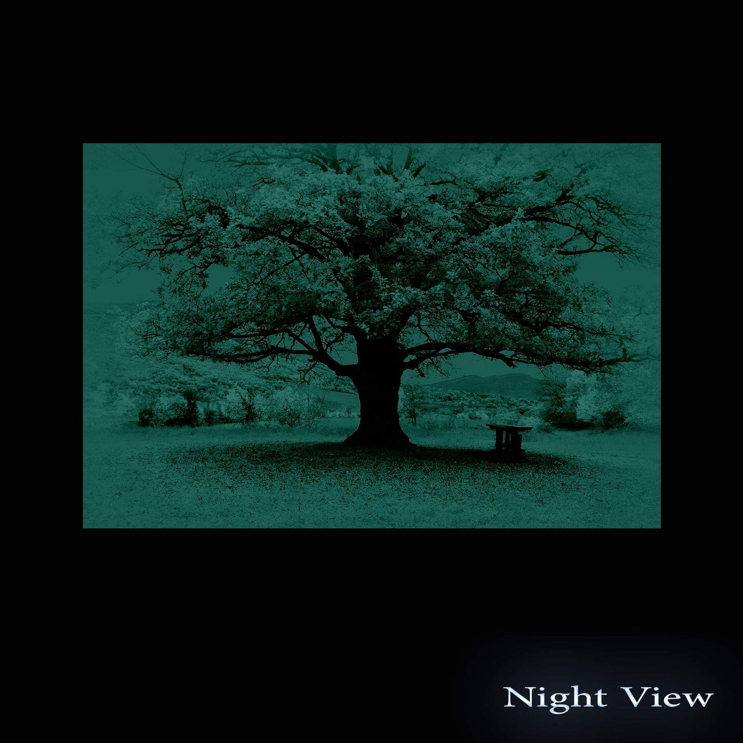 Startonight Acrylic Glass Wall Art - Pink Tree Decor - Glossy Artwork 24" x 36" Home Decor Ready to Hang
