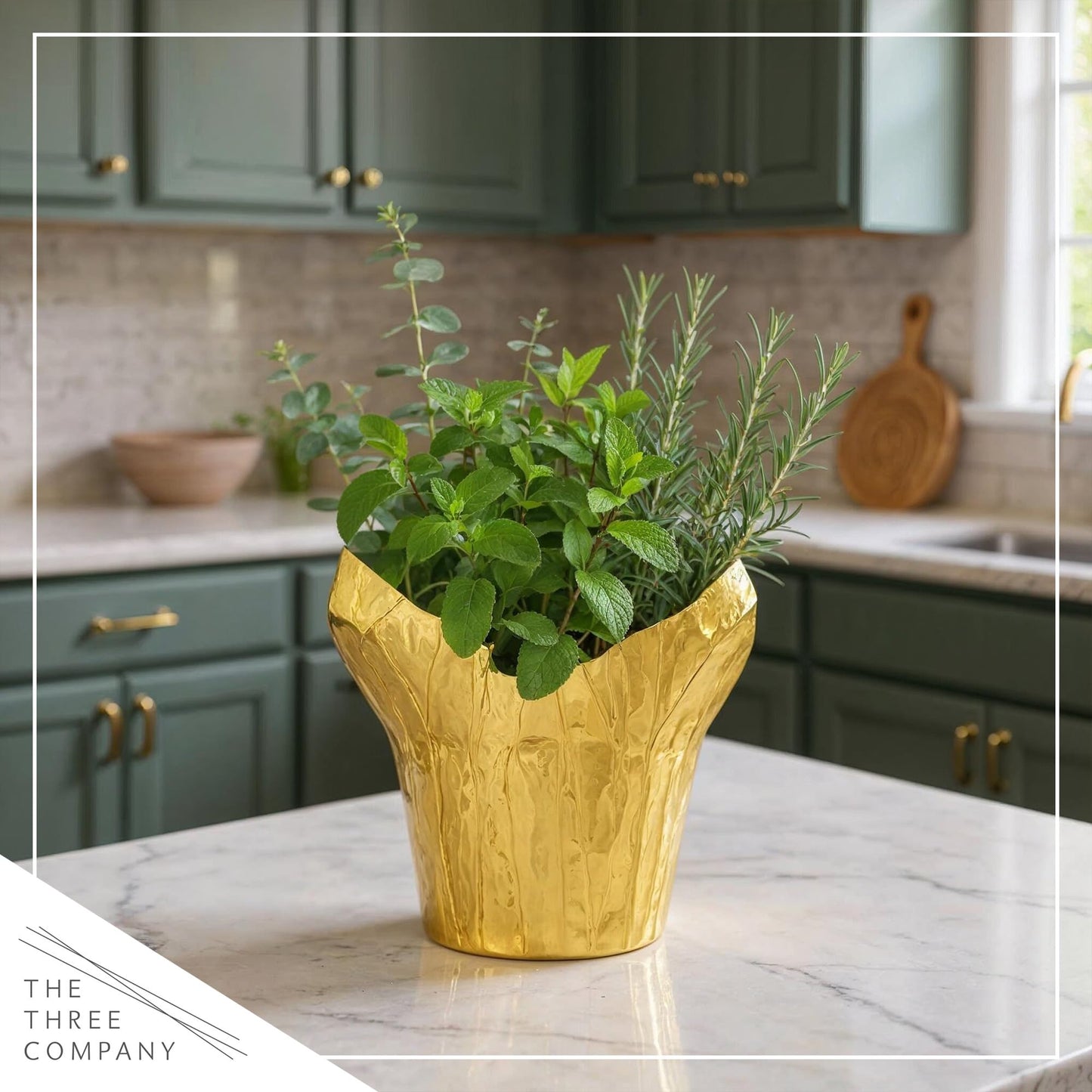 Live Aromatic and Healthy Herb Combo in Deco Cover - Breathe Better, Combo Includes Eucalpytus, Mint, and Rosemary, 12" Tall by 6" Wide in 1.25 Quart Pot