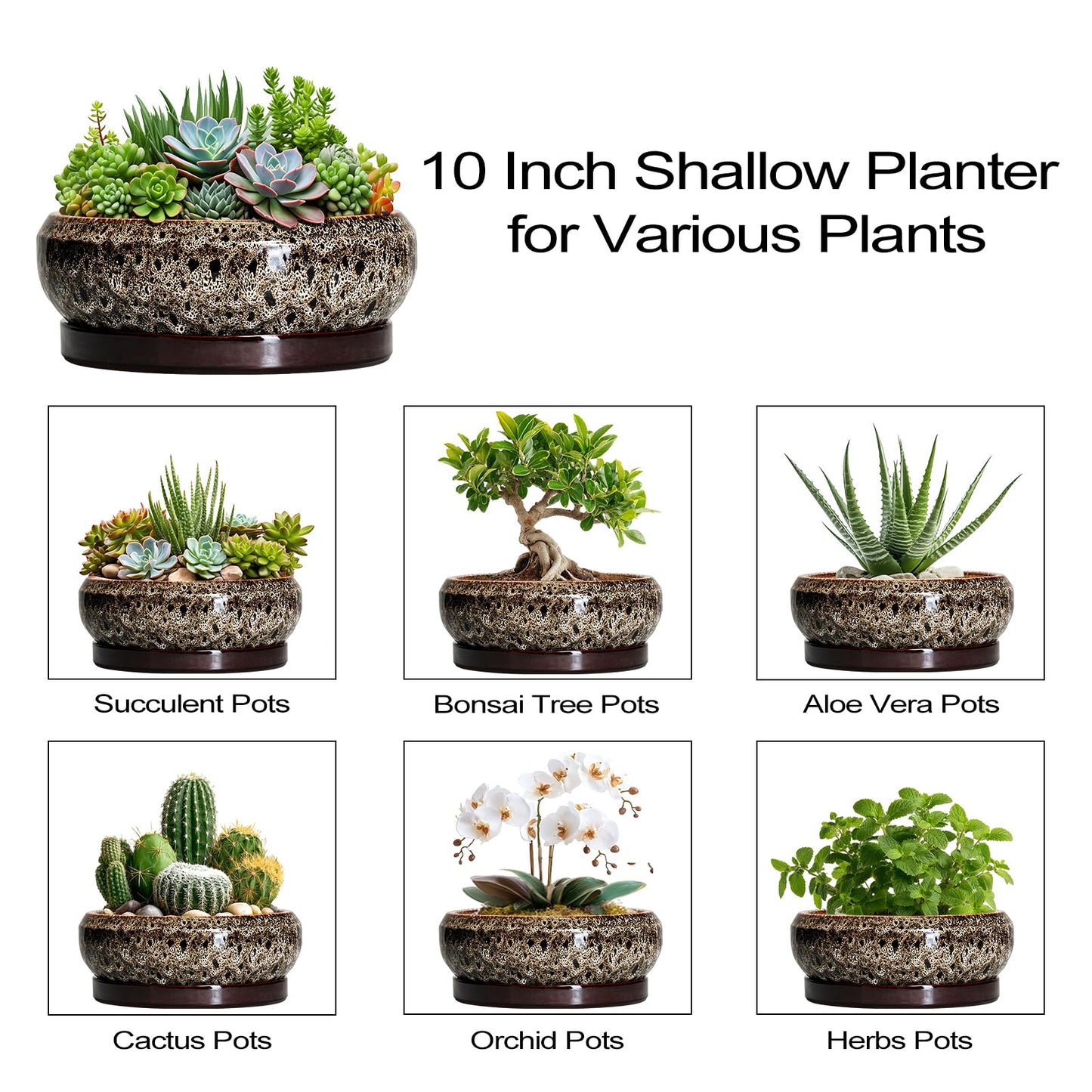 EPFamily Succulent Pots 10 Inch - Ceramic Bonsai Pots with Drainage Hole and Tray, Large Succulent Planters, Shallow Planter Indoor, Round Planter Bowl, Window Decor, Gifts for Plant Lovers, White
