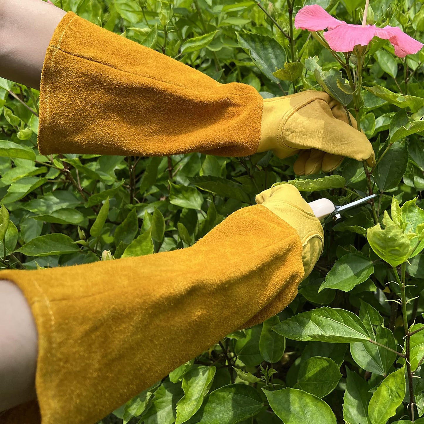 luvaswel Thorn Proof Gardening Gloves, 100% Cowhide Comfortable Breathable for Rose Pruning, Cactus Handling and Gardening