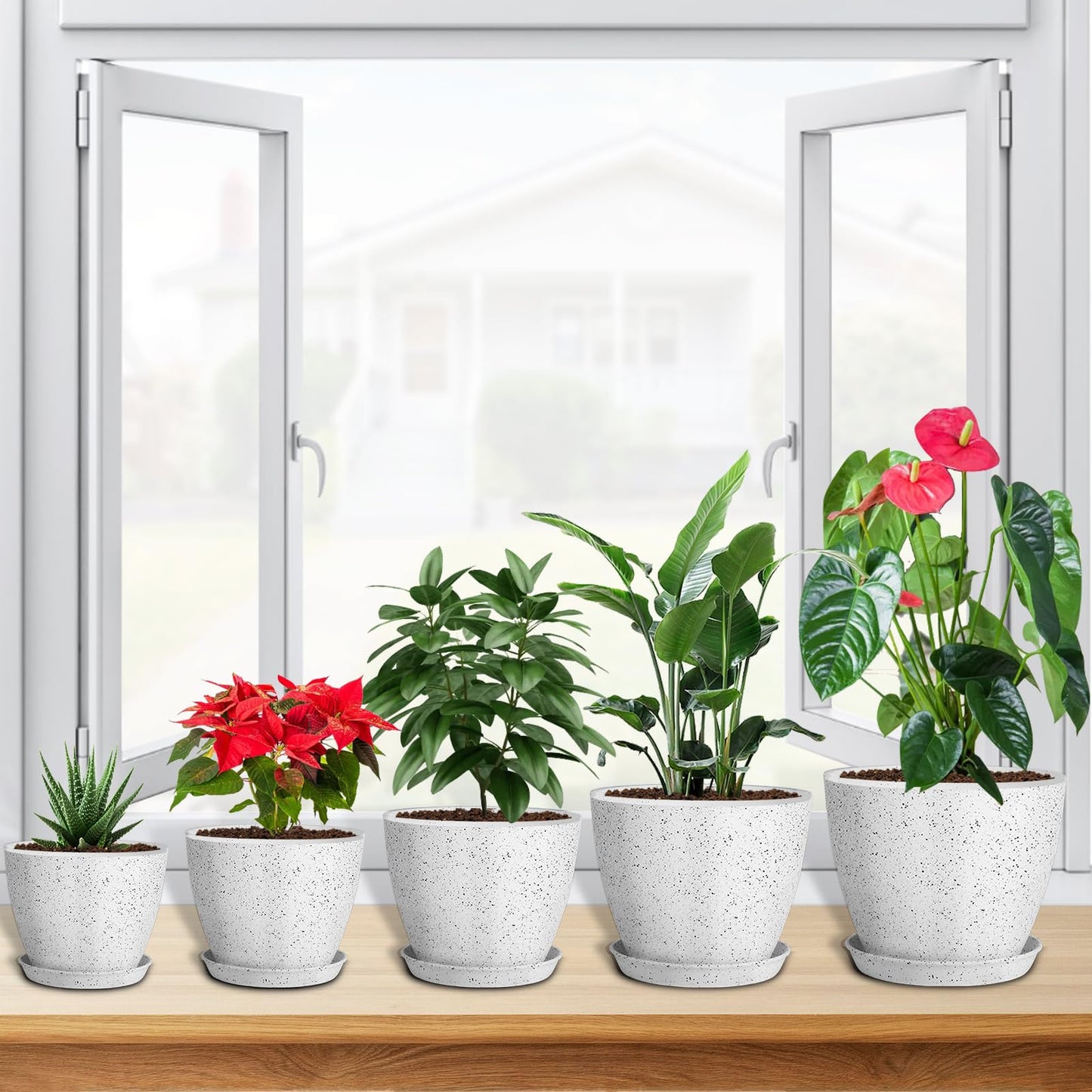 lokeisna 5 Pcs Plant pots, 7.5/6.5/5.7/4.9/4.1 inch Pots for Plants, Flower Pot Indoor Modern Decorative Plant Pot, Plant Pots Indoor with Drainage and Saucer for All House Plants, Spray Spots