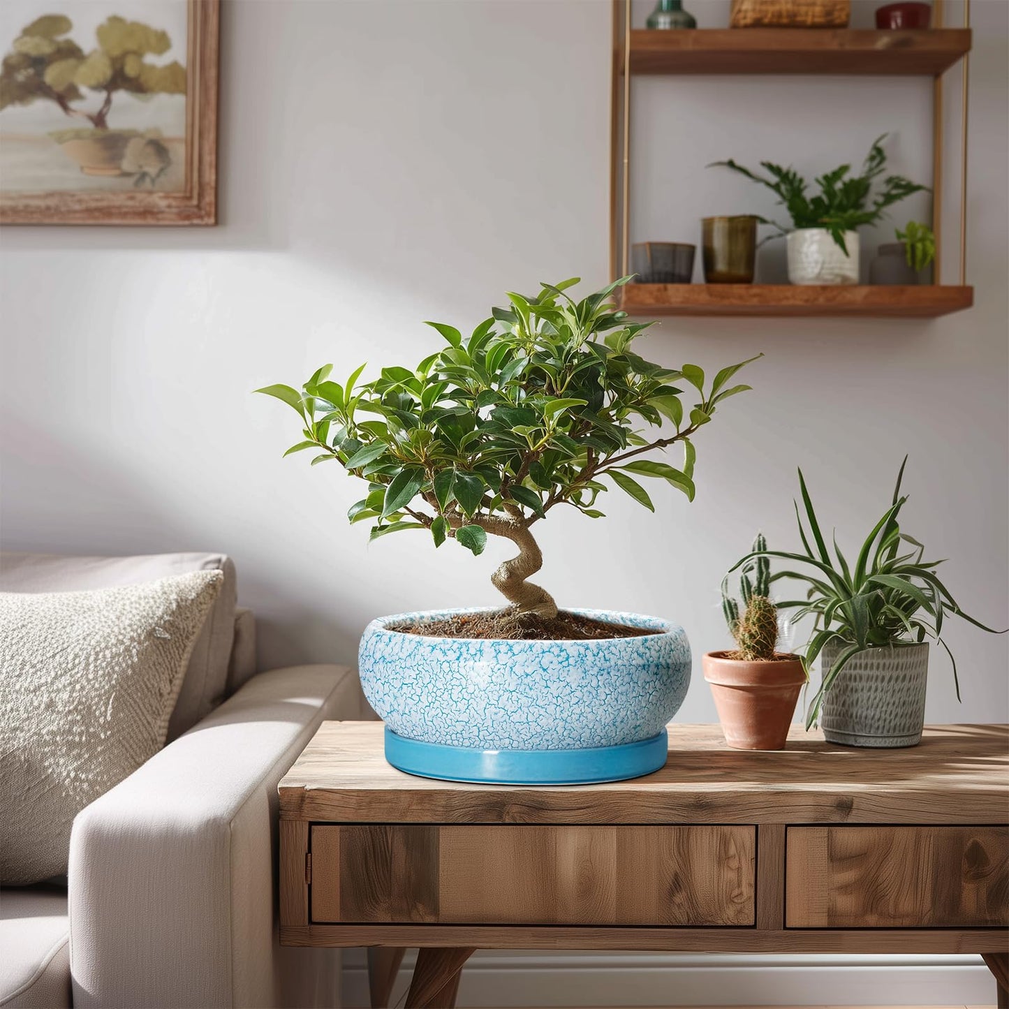 EPFamily Succulent Pots 8 Inch - Ceramic Bonsai Pots with Drainage Hole and Saucer, Succulent Planters for Indoor Plants Outdoor, Round Shallow Planter Bowl, Porch Decor, Gardening Gifts, Blue
