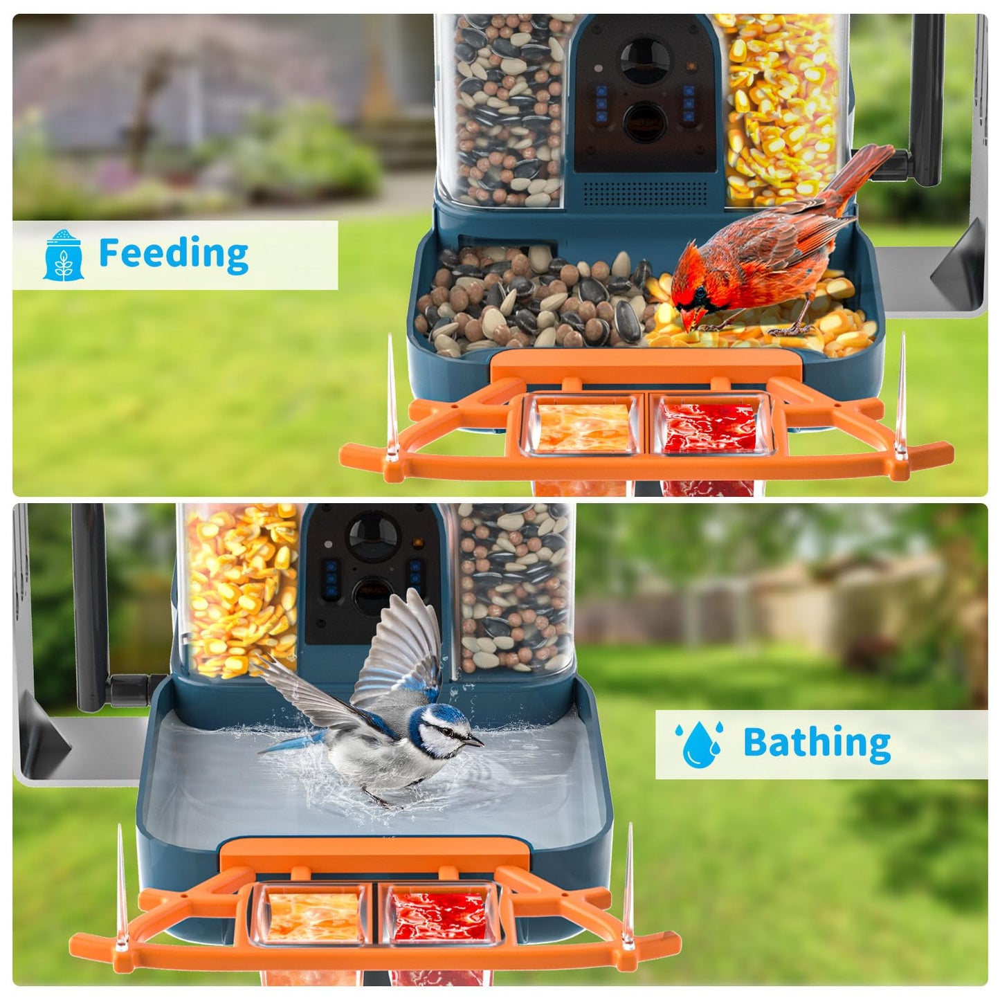 Bird Feeder with Camera and Bird Bath for Outdoors, Dual-Lens 2K HD Video with AI Identification, Solar Powered, Instant Alerts, IP66 Weatherproof