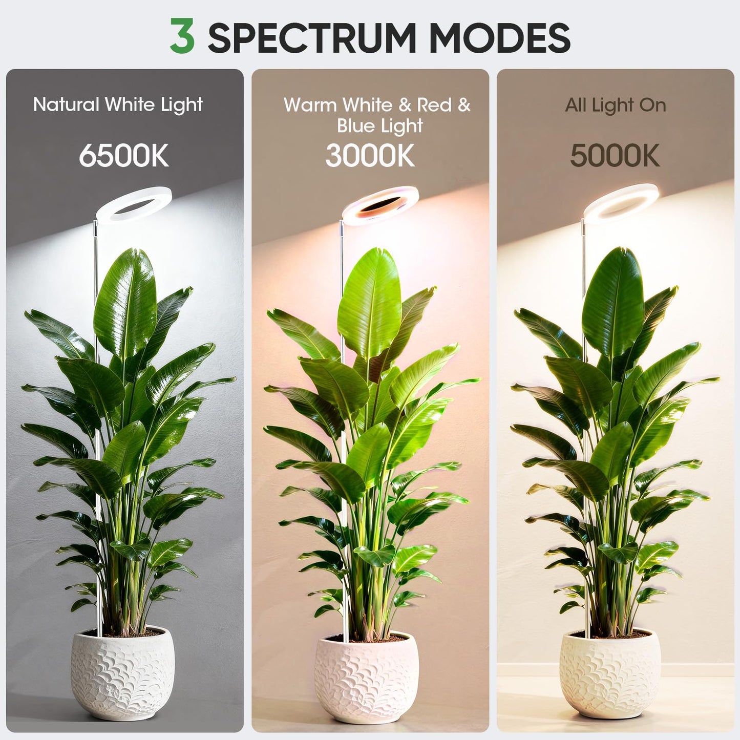 PlantaPulse Grow Lights for Indoor Plants, 72 LED 6500K Full Spectrum, 59in Tall Plant Light, 3 Color Grow Lamp with Rotating Gooseneck, 8/12/16H Timer, 10 Brightness Levels, Height Adjustable