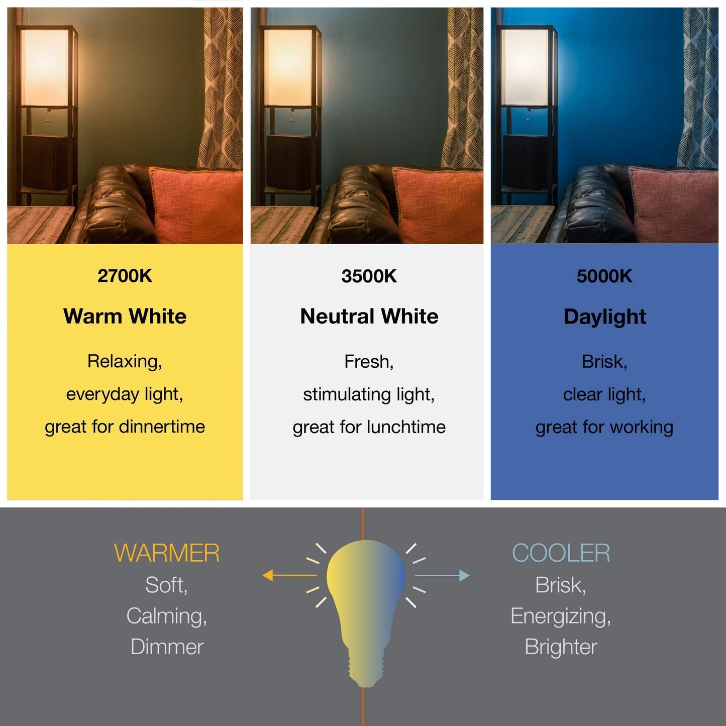 Sylvania LED Flood BR30 Light Bulb, 65W Equivalent Efficient 9W, 10 Year, 650 Lumens, Dimmable, 2700K, Soft White - 2 Pack (73954)