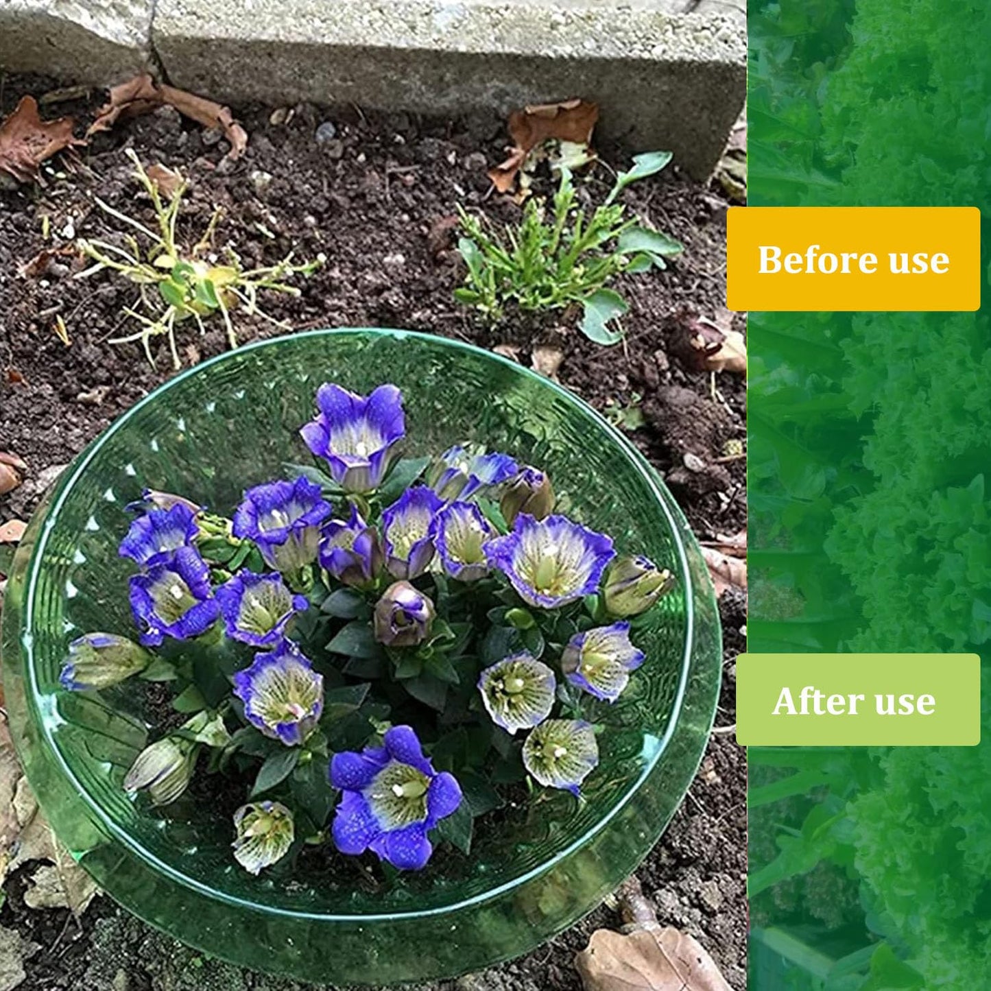 Fshow Garden Cloches，5 Pack Plastic Slug & Snail Plant Protection Collars, Snail Defense Without Chemistry, Planting Rings Protects Plants to Get Better.