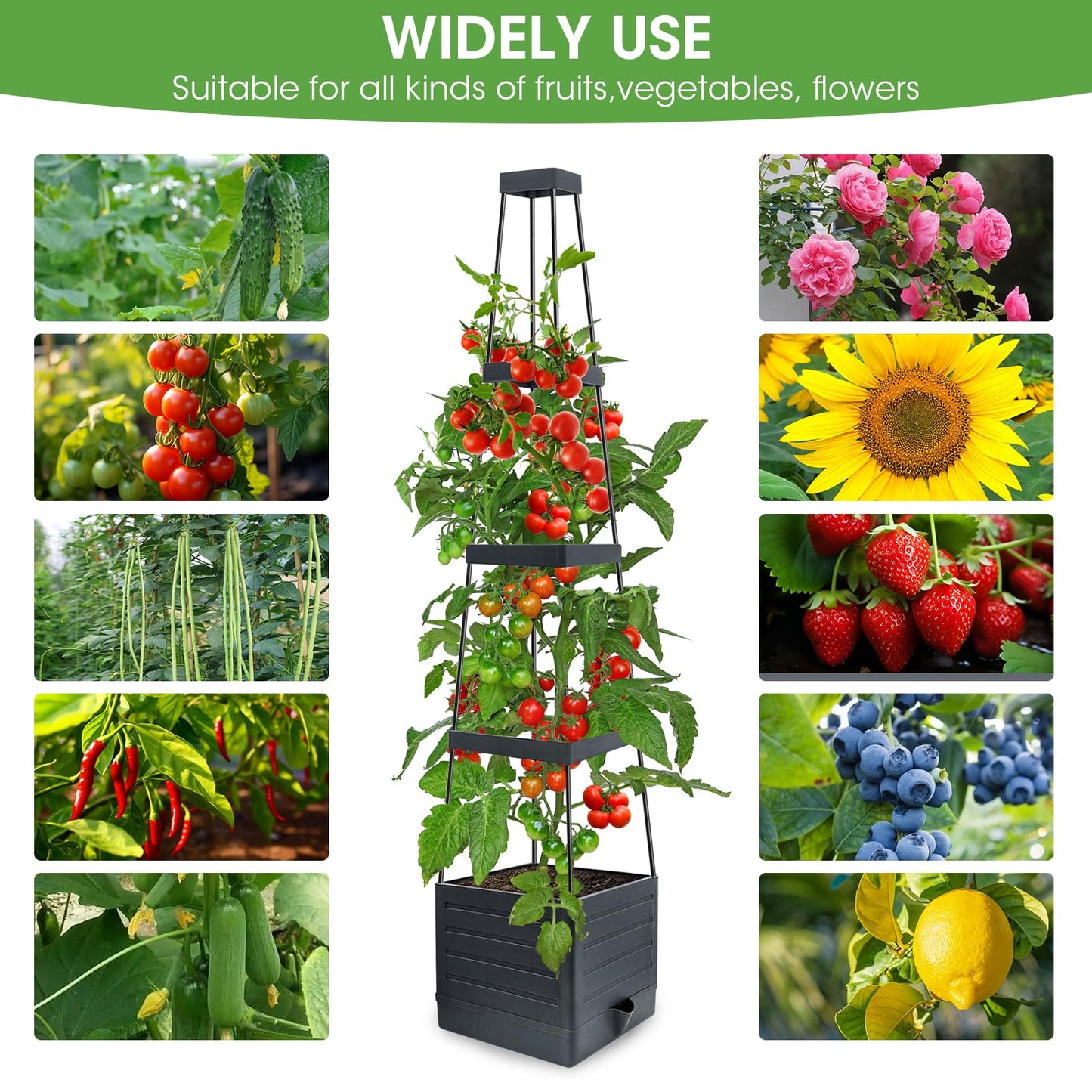 MYMULIKE 2 Pack Raised Garden Bed Planter Box with Trellis, 58” Tomato Cage Planter Raised Garden Bed with Trellis for Climbing Vegetables Plants Tomato Cage w/Self-Watering, Indoor Outdoor Use