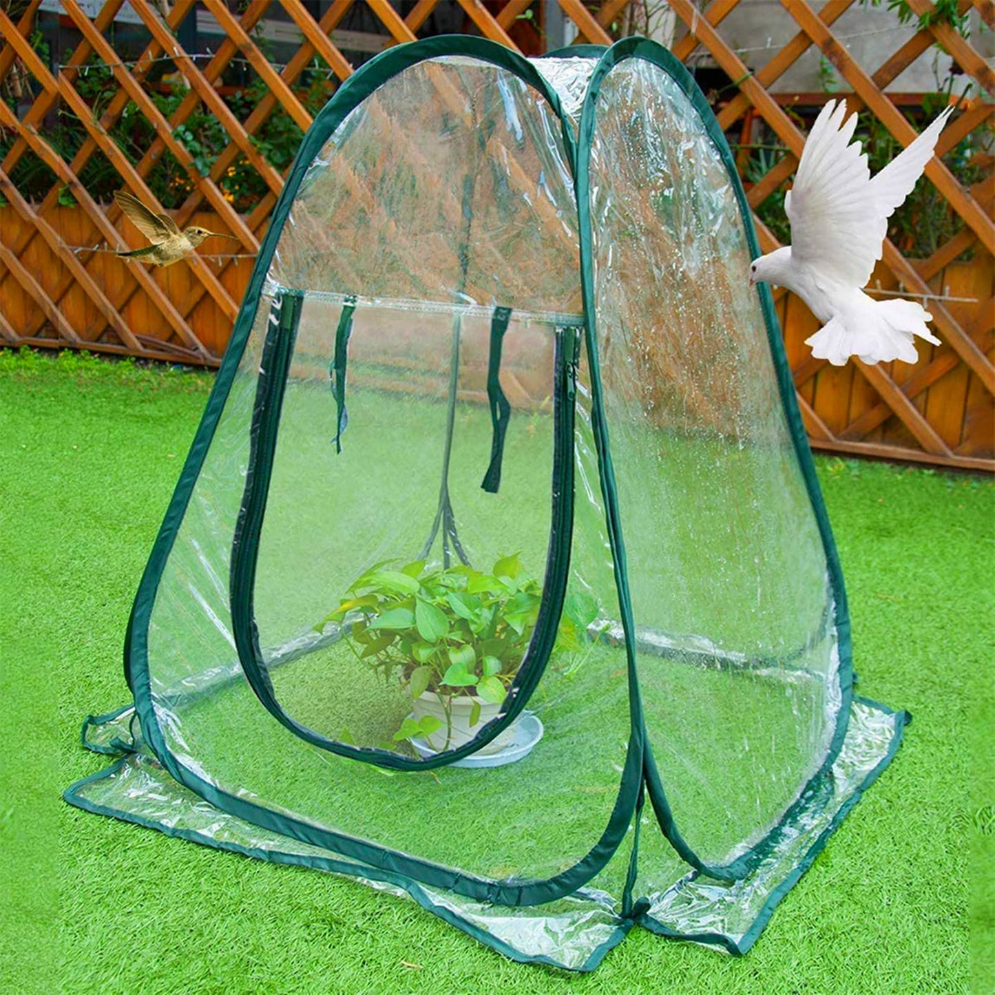 Lyellfe Pop Up Greenhouse Cover, PVC Mini Greenhouse with Nails, 28" x 28" x 34" Clear Portable Backyard Gardening Flower Sunshine Tent Room for Indoor Outdoor Plant, Cold Frost Protector
