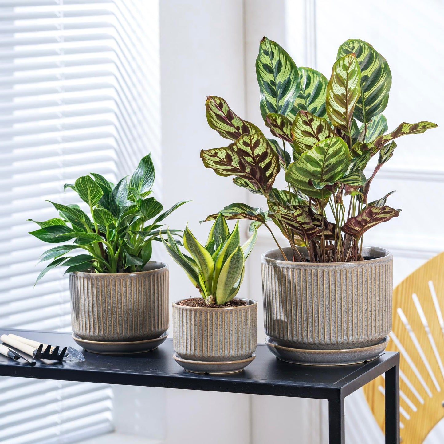 SURE YUESI Speckle Gray Ceramic Plant Pots Set of 3 (4.3”+5.5”+6.7”) Indoor Striped Planters with Drainage Hole, Saucer Pad, Decorative Pots for Plants & Gardening