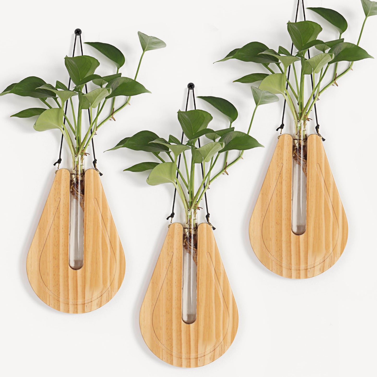 Wall Planters for Indoor Plants, Hanging Plant Propagation Station, Wood Plant Holder for Greenery and Dried Flowers, Farmhouse Wall Decoration for Home Living Room (Set of 3)