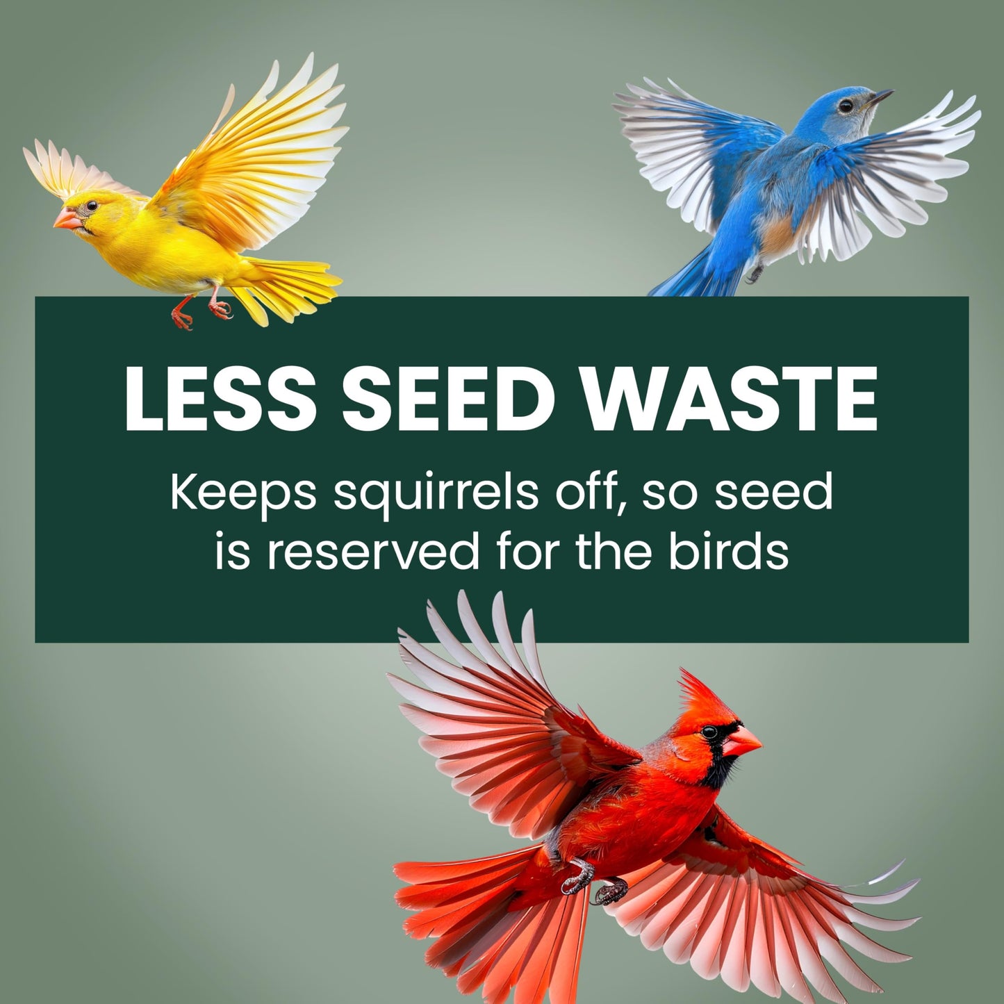 Perky-Pet 336-1SR Squirrel-Be-Gone Squirrel Proof Bird Feeder, 2LB, Outdoor Wild Bird Feeder with Weight-Activated Perches