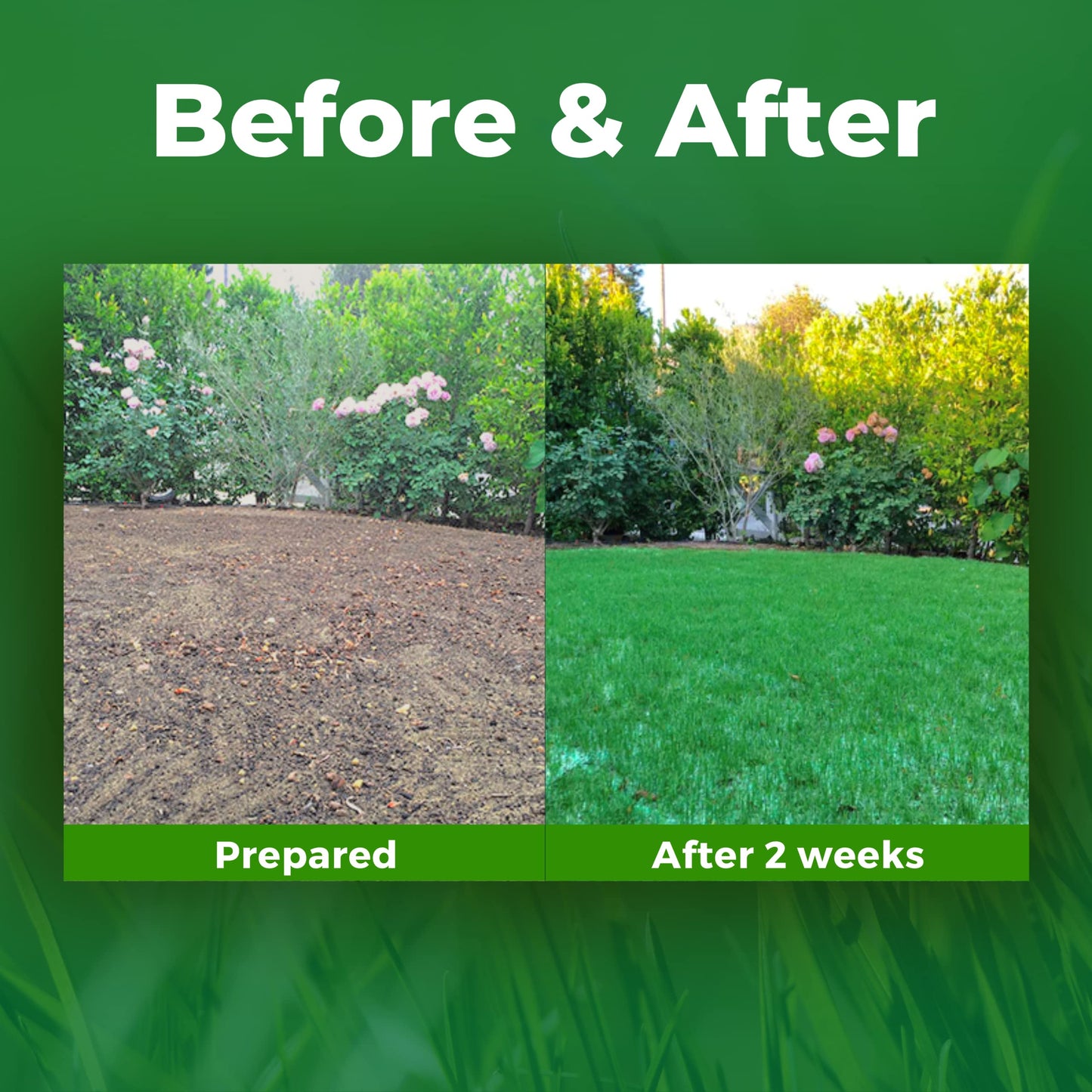Growtrax 200 Sq Ft Biodegradable Bermuda and Rye Blend Grass Seed Mat - Mix & Fertilizer Mat for Ball Fields, Parks, & Residential Lawns