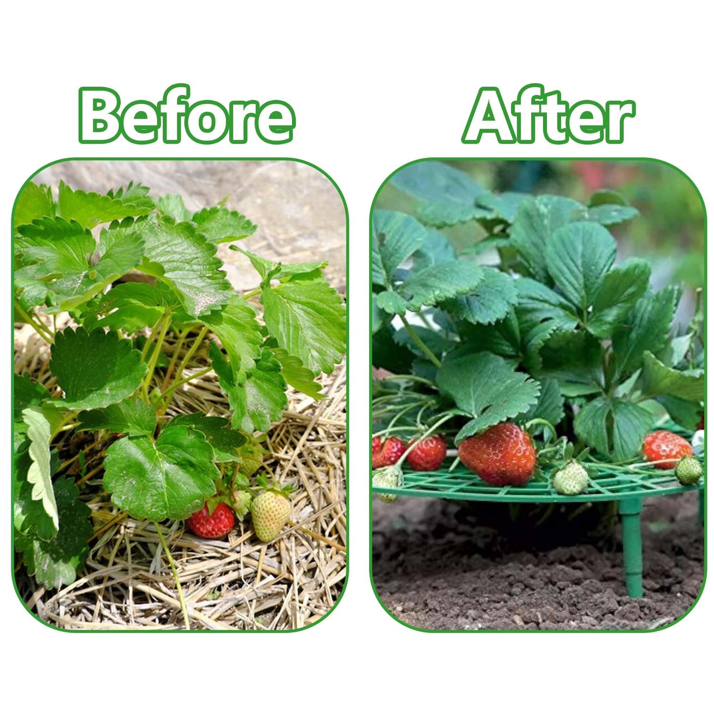 Iceyyyy 5 Pack Strawberry Plant Support - Strawberry Growing Racks with 4 Sturdy Legs - Strawberry Growing Frame Keep Berries Clean