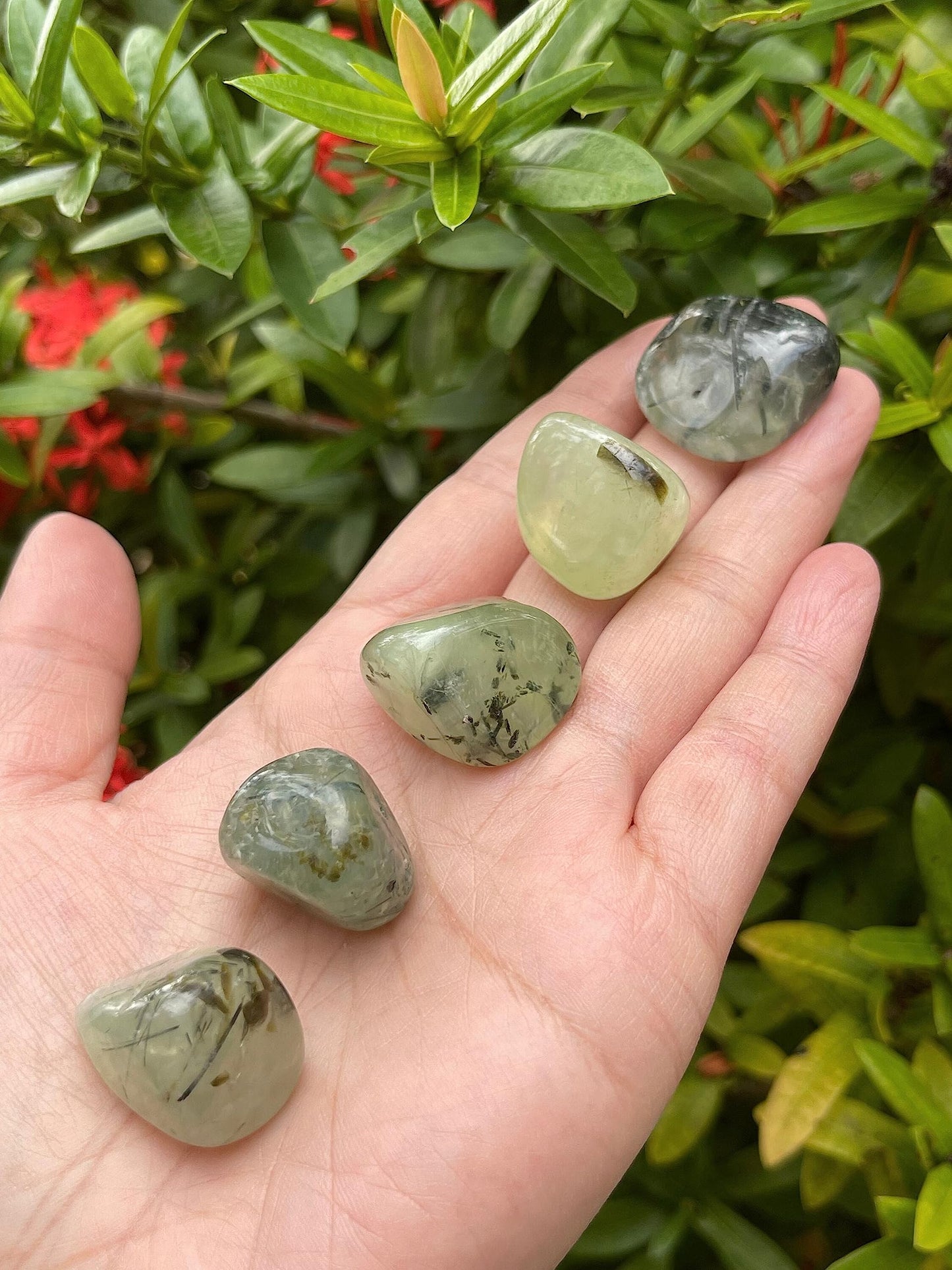 GAF TREASURES 5 Pcs Prehnite with Rutile Tumbled Stones, Polished Natural Prehnite with Rutile Gemstone, Prehnite with Rutile Healing Crystals (Prehnite with Rutile)
