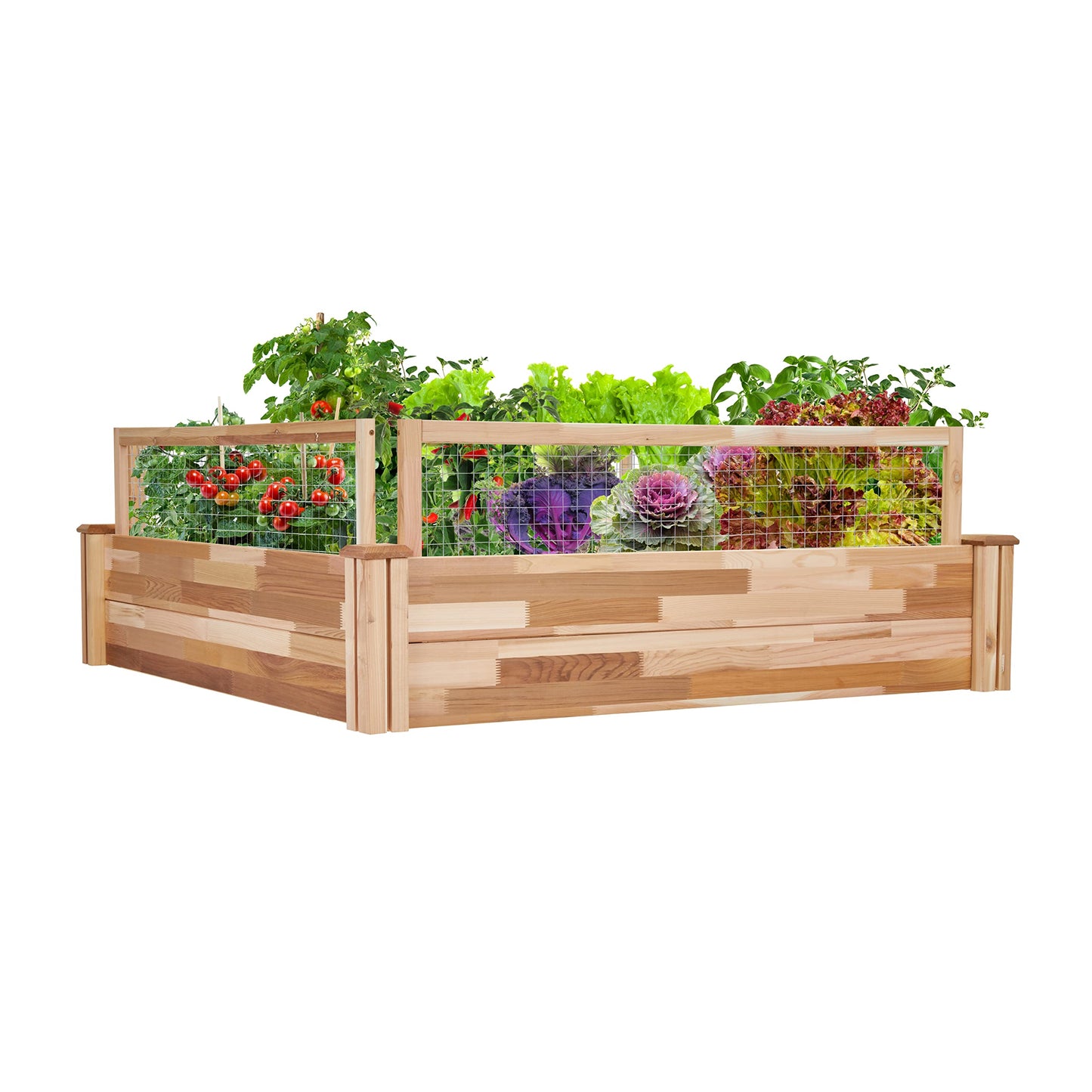 Jumbl Raised Canadian Cedar Garden Bed | Garden Beds Outdoor | Elevated Wood Planter for Growing Fresh Herbs, Vegetables, Flowers, Succulents & Other Plants at Home | Great for Outdoor | 48x48x10”
