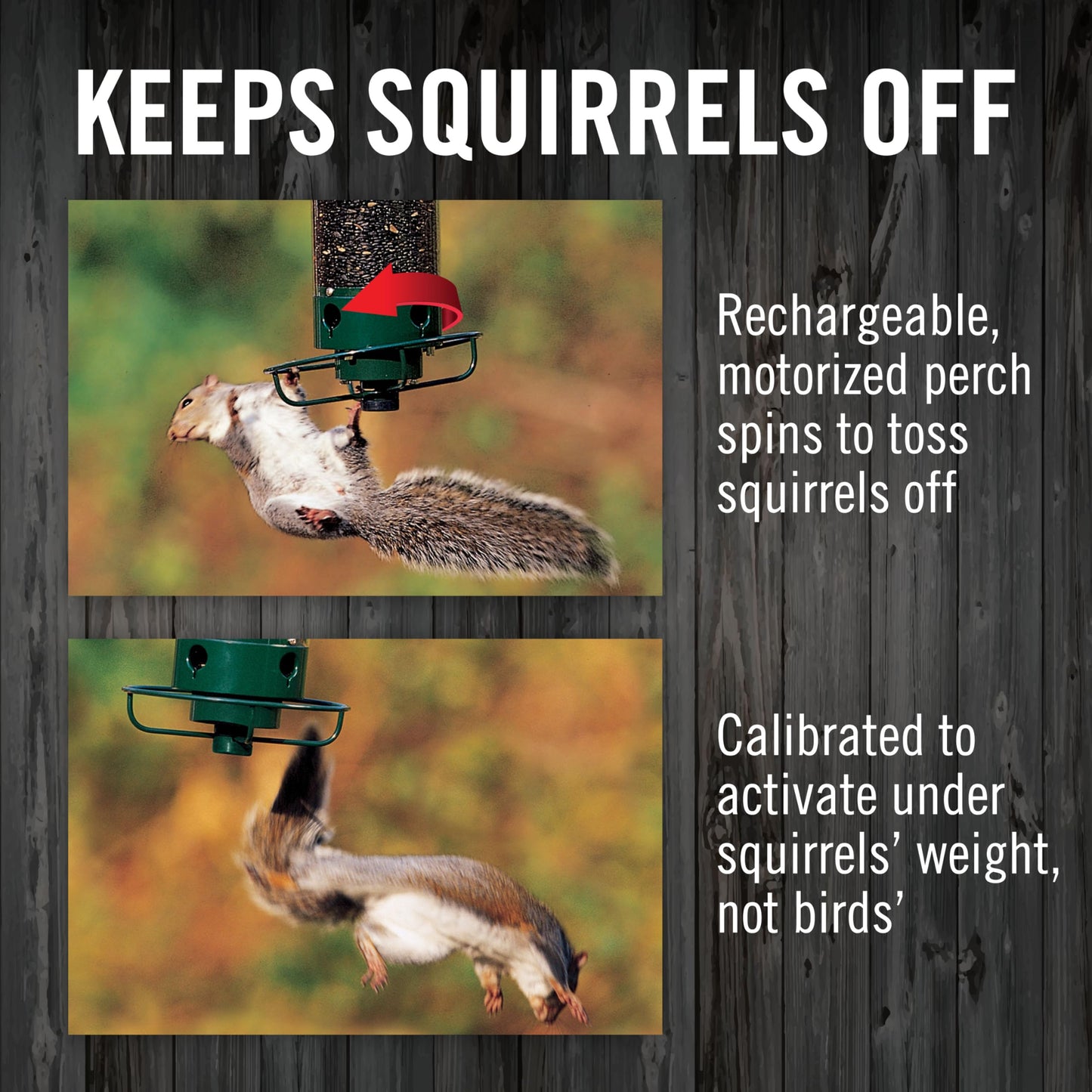 Droll Yankees Squirrel Proof Bird Feeder for Outdoors – Rechargeable Weight-Activated Rotating Perch, 5lb Seed Capacity, Metal Base, UV-Stabilized Seed Tube, Hanging Green Yankee Flipper, YF-M