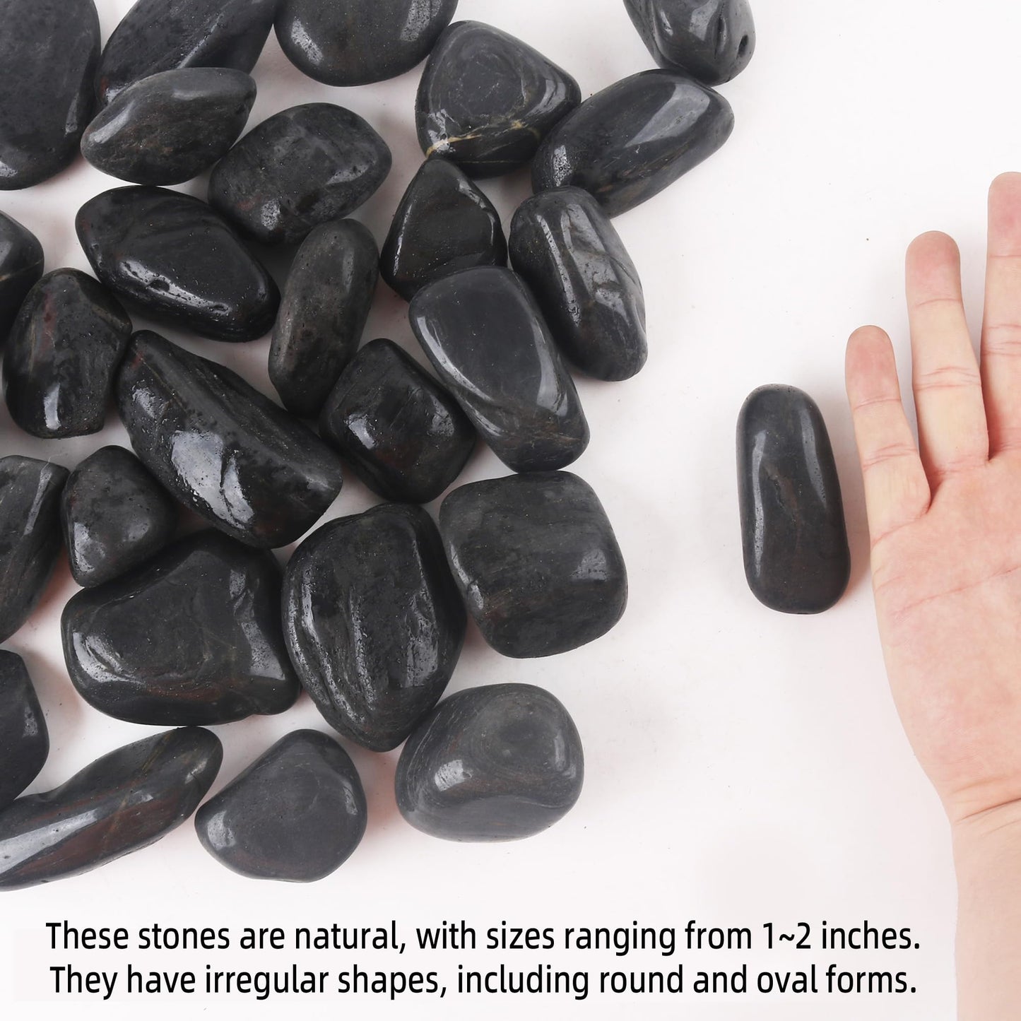 8LB 1"-2" Black River Rocks for Plants, Polished Pebbles for Garden Landscaping, Planters, Aquariums, Vase Fillers – Indoor & Outdoor Decor