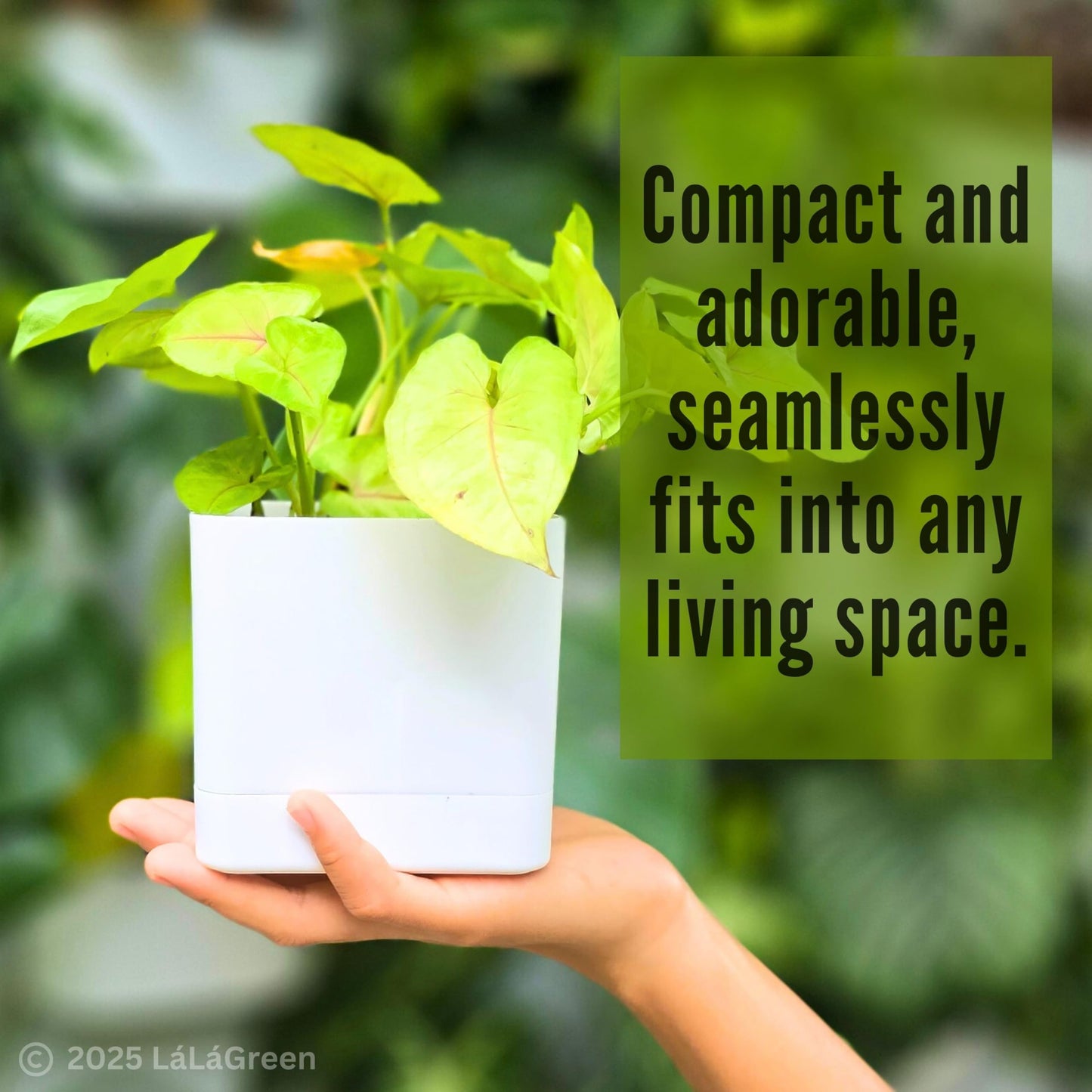 LaLaGreen Planters for Indoor Plants (7 Pack) White Rectangular Self-Watering Window Boxes Planter, Plastic Flower Box Pots Herb Small Long Windowsill Plant with Drainage Patio Garden Home Decor Porch
