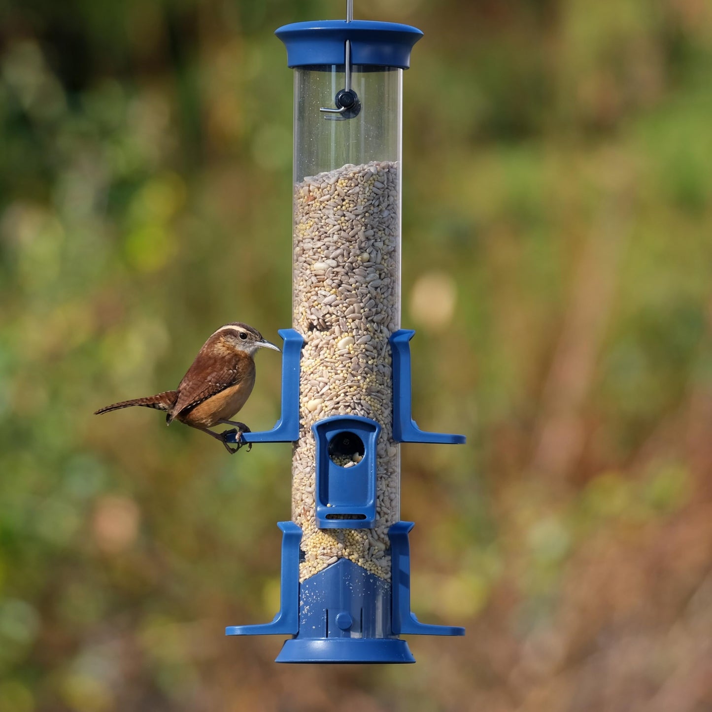 Nature's Way Plastic Seed Tube Bird Feeder for Wild Birds and Outdoor Décor, 1.2 Quart Capacity, Six Ports, Easy-Clean Design, Blue