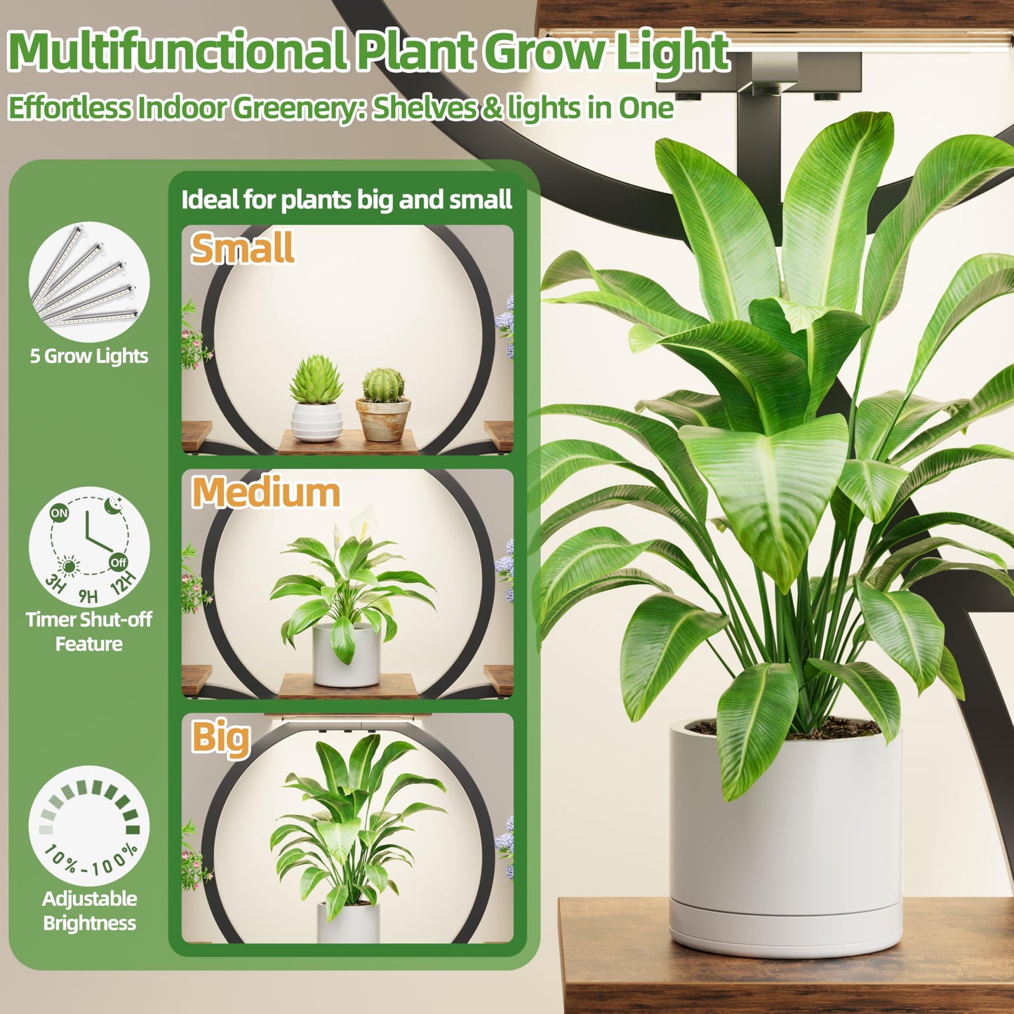 POZILAN Plant Stand Indoor with Grow Lights - 63" Indoor Plant Stands, 10 Tiered Plant Shelf for Indoor Growing, Corner Lighted Plant Shelves for Balcony, Living Room, Patio, Black