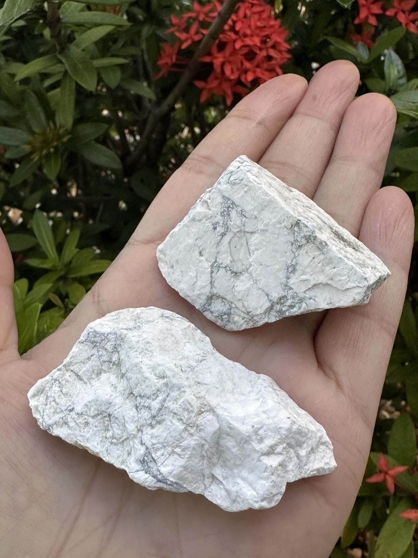 GAF TREASURES Wholesale Raw White Howlite Crystals, Natural White Howlite Stone, Natural Rough White Howlite Crystals, White Howlite Rough, White Howlite Healing Crystals (White Howlite, 0.5 Pound)