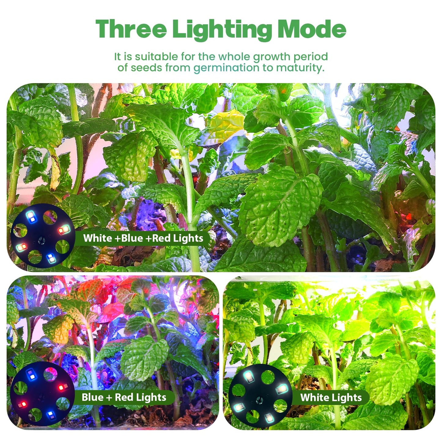 Seed Starter Trays with Grow Lights, 72 Cells Seed Starter Kit with Lights, 4 Timing Set, Germination Kit for Seed Starting Trays, Seedling Starter with High Humidity Control Domes (White, 6PCS)