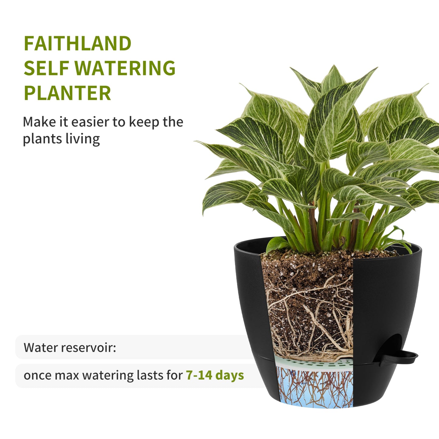 FaithLand 3-Pack Large Planter Pots, 12 10 9 Inch Self Watering Flower Pots for Indoor Outdoor Garden Plants, Black with Brown