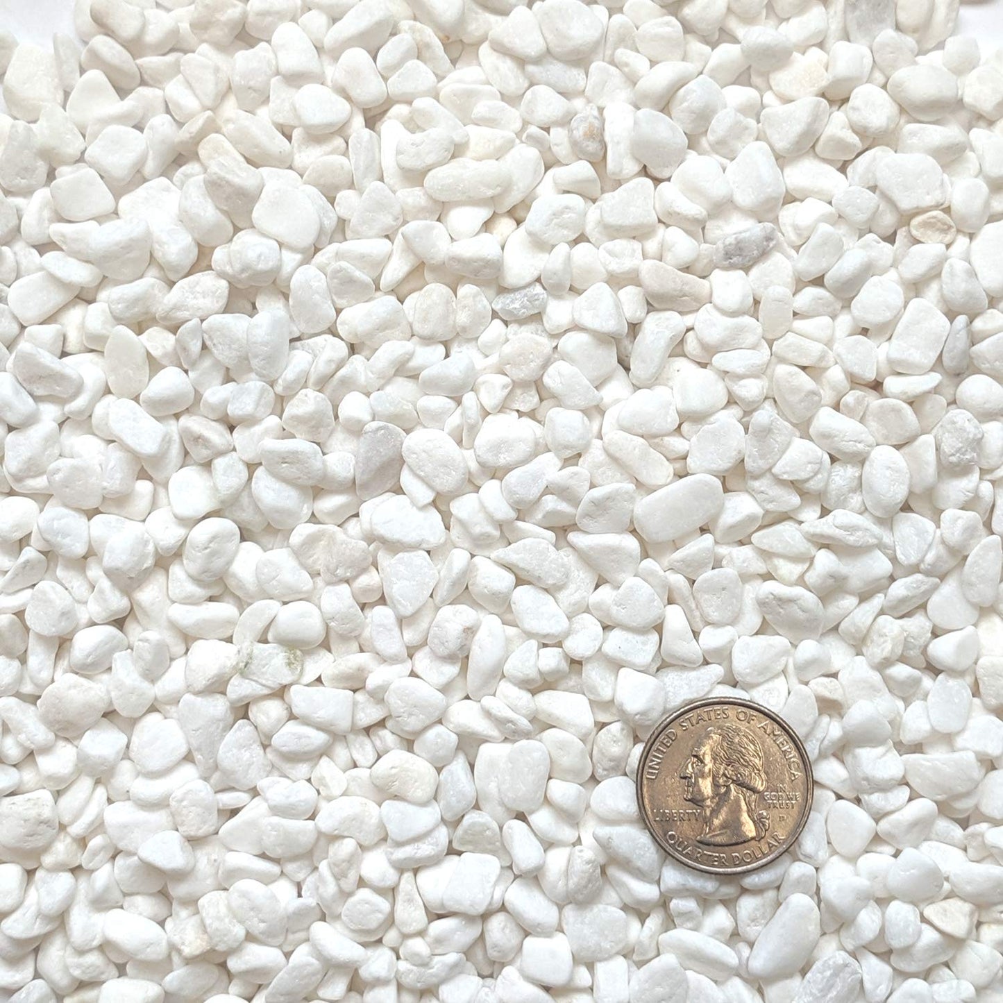 Midwest Hearth Decorative White Bean Pebbles 1/5" Size (5-lb Bag)