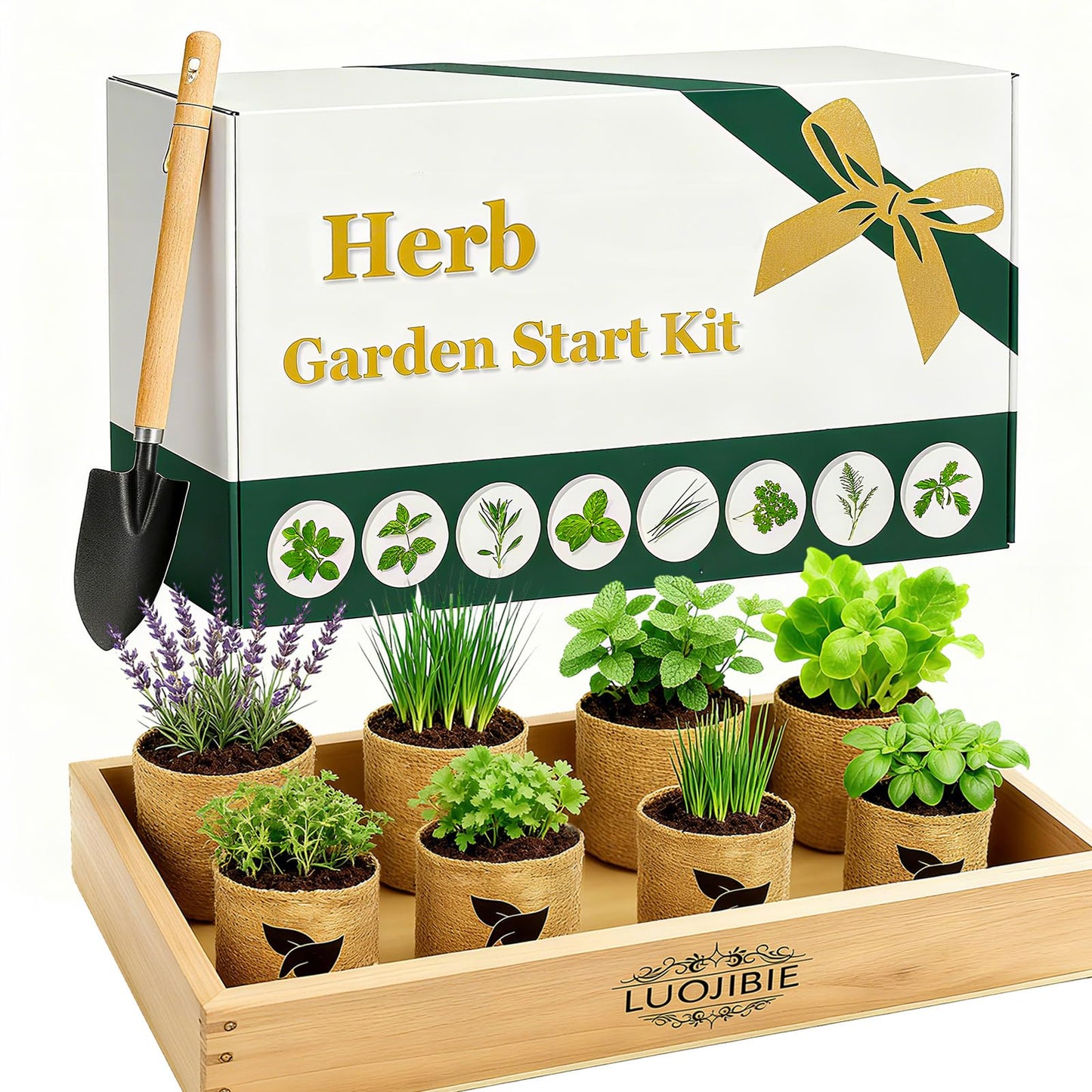 Indoor Herb Garden Start Kit - Unique Gifts for Women, Mothers Day Gifts, Easy House Plant- Birthday for Women,House Warming Gift New Home- Fresh Herb Garden DIY Crafts for Adults