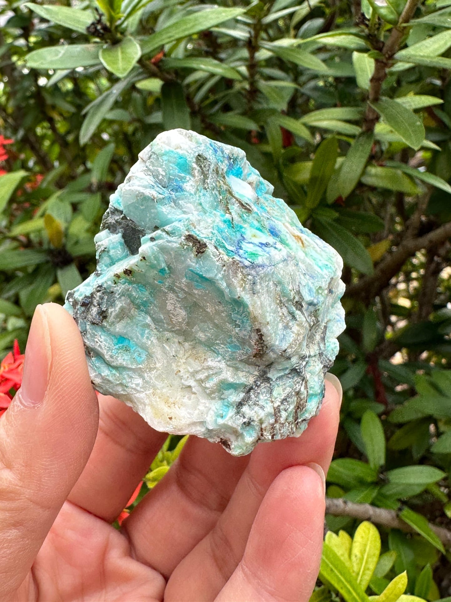 GAF TREASURES XL Raw Azurite, 3-4" Natural Rough Azurite Healing Crystal, 0.5-1 lb