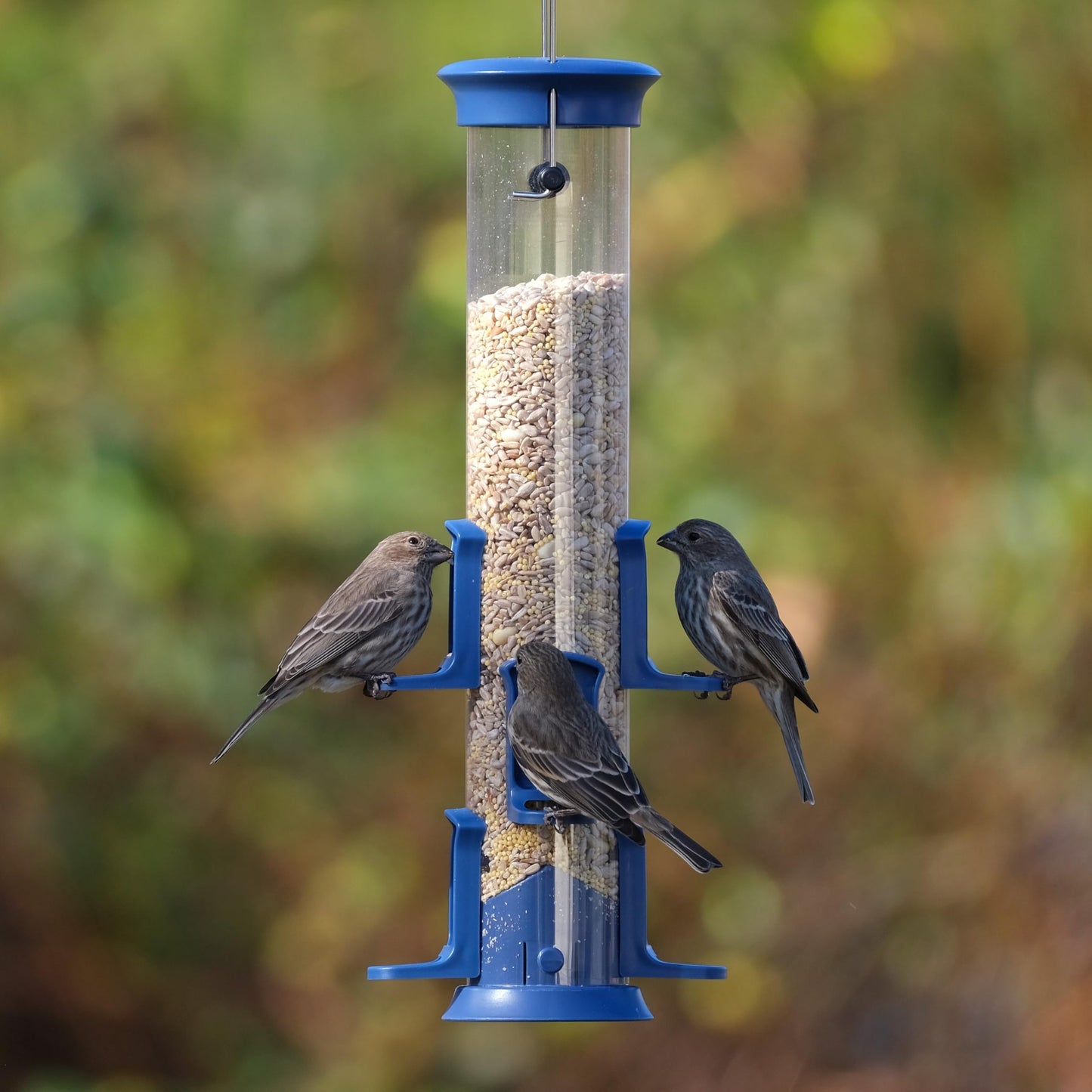 Nature's Way Plastic Seed Tube Bird Feeder for Wild Birds and Outdoor Décor, 1.2 Quart Capacity, Six Ports, Easy-Clean Design, Blue