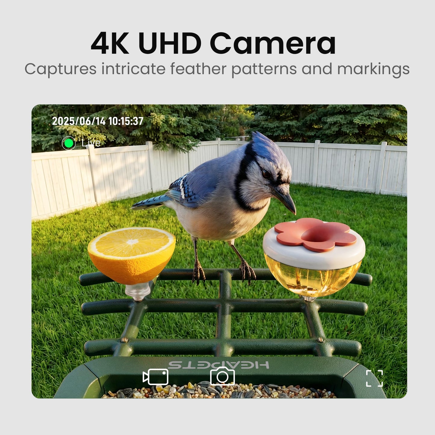 HEAPETS Bird Feeder with Camera Solar Powered, 4K UHD Video, AI Bird Recognition, Auto Capture with Instant Notifications, IP65 Weatherproof, Gifts for Seniors Bird Watchers, Brown