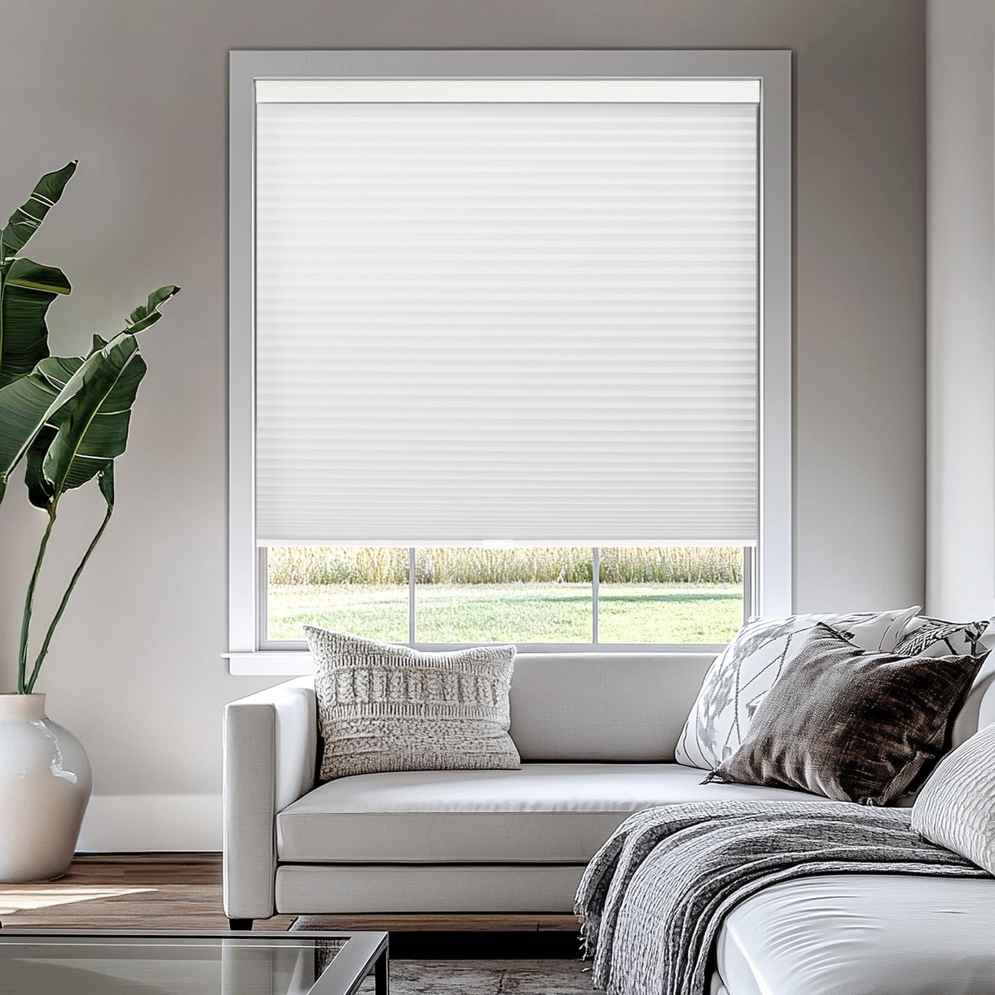 CHICOLOGY Cellular Shades , Window Blinds Cordless , Blinds for Windows , Window Shades for Home , Window Coverings , Cellular Blinds , Door Blinds , Morning Mist, 30"W X 64"H