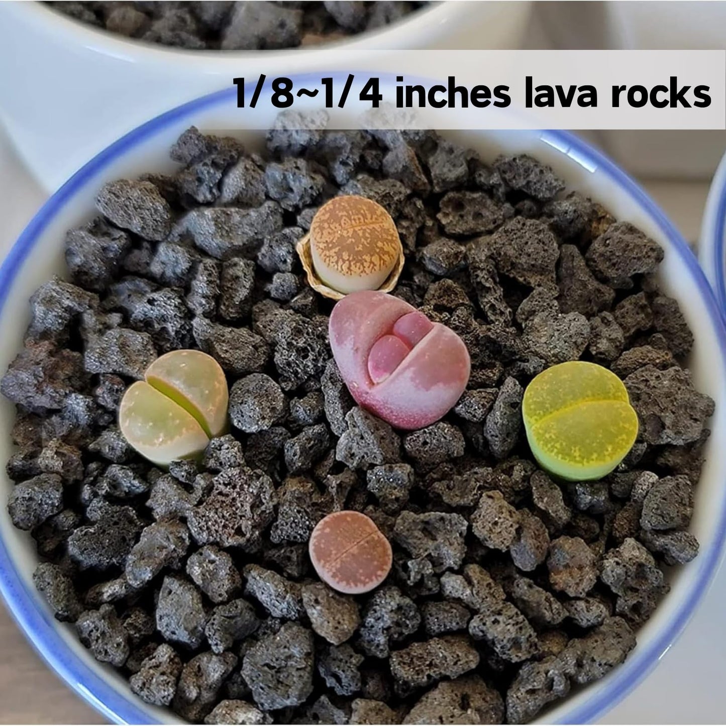 7lb Black Lava Rock for Plant, 1/8-1/4 inch Horticultural Volcanic Rock Soil for Decorative Landscaping Bonsai, Cacti, Succulents Plants Top Dressing for Release Excess Water
