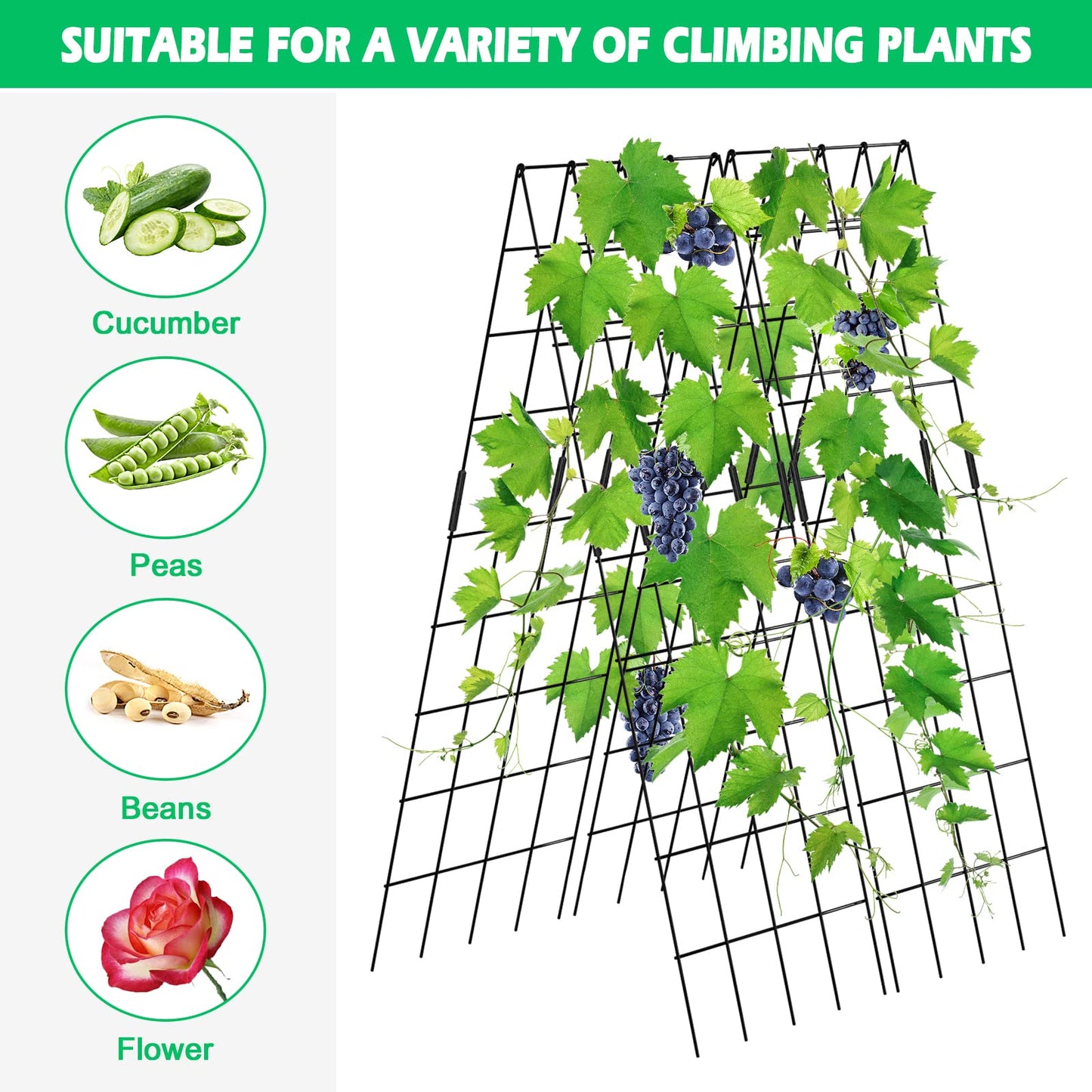 DoCred Cucumber Trellis, 59" High 2 Pack Foldable A Frame Trellis for Raised Bed Climbing Plants, Vegetables, Includes Plant Support Clips, Twist Ties, Plastic Ties- Made from PVC-Coated Steel