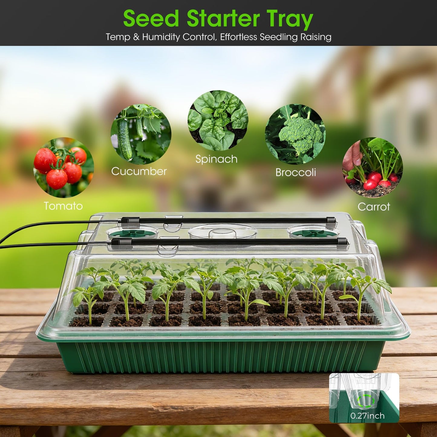 Seed Starter Tray with Grow Light, 2 Pack 80-Cell Seedling Starter Kit with Smart Timer & Humidity Dome, Indoor Plant Germination Kit with 100pcs Nursery Bags & 2-in-1 Sprinkler for Seed Starting
