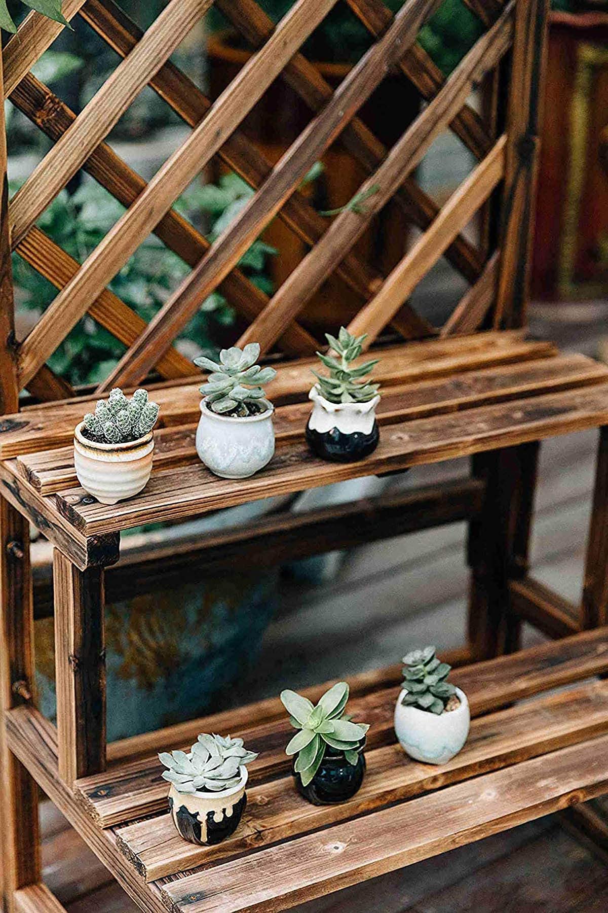 T4U Small Ceramic Succulent Pots with Drainage Hole Set of 12, Mini Porcelain Planters, Air Plant Flower Pots, Cactus Faux Plants Containers, Home and Office Decor Gift