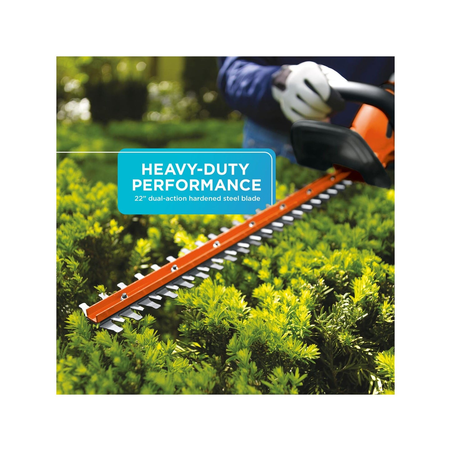 BLACK+DECKER 20V MAX Cordless Hedge Trimmer, Battery and Charger Included, 22 Inch Steel Blade Lightweight Bush Trimmer, Soft Grip, Less Vibration (LHT2220)