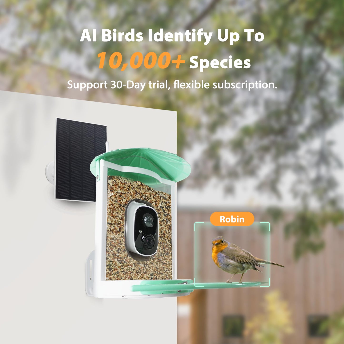 Birdkiss Smart Bird Feeder with Camera Solar, Auto Capture Bird Videos & Motion Detection, Birds Watching Camera Notify in Time, Metal Birds Feeder with Seed Guard, Ideal Present for Mom (Green)