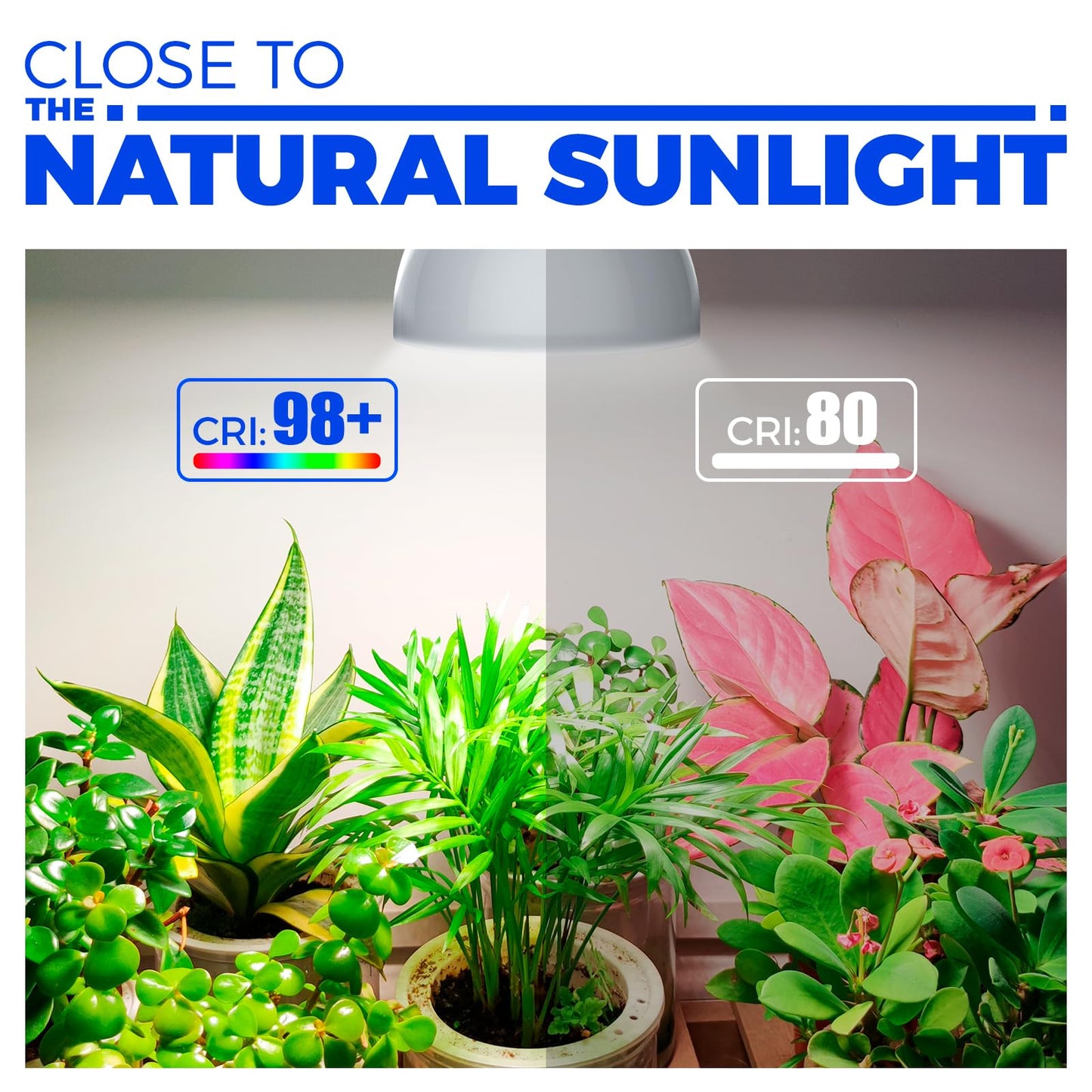 Barrina LED Grow Light Bulb with Timing and Hanging System, 25W Full Spectrum, 4H/9H/14H Timer, Hanging Grow Lights for Indoor Plants with 16.4FT Power Cord, Plug in Pendant Light for Plants