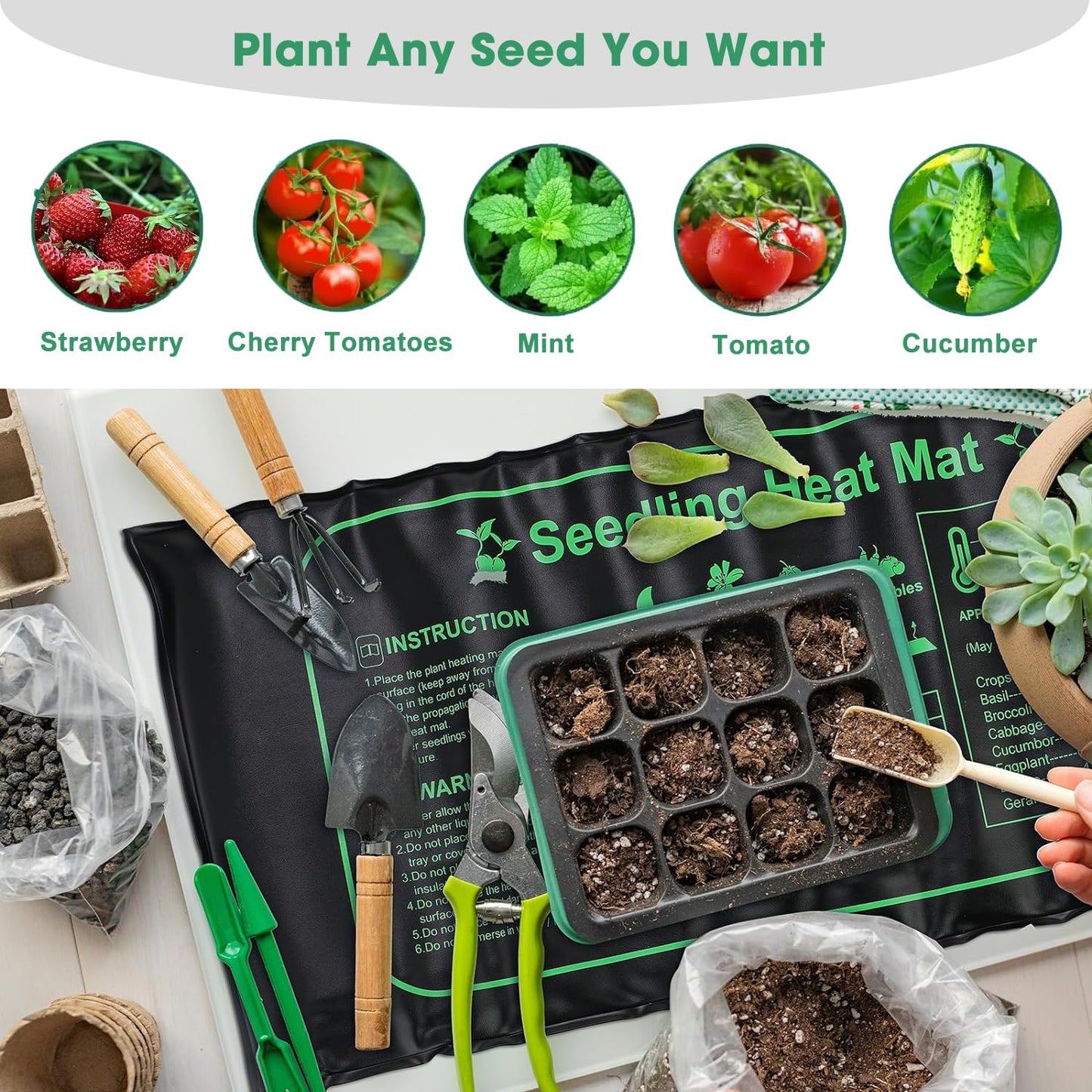 FINEST+ Seed Starter Tray with Heat Mat and Grow Light,5 Pack Seedling Starter Trays with Time Controller,Seedling Starter Tray with Adjustable Brightness,Seed Starting Kit with Adjustable Humidity