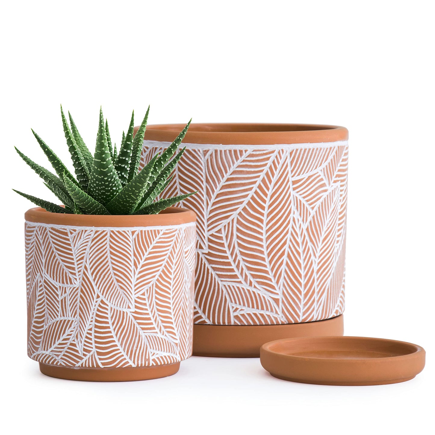 D'vine Dev Set of 2 Terracotta Pots, Leaves Pattern Planter Pot, 4 Inch and 6 Inch, Pot with Drainage Hole and Saucer, Terracotta/White, 31-958-I-1
