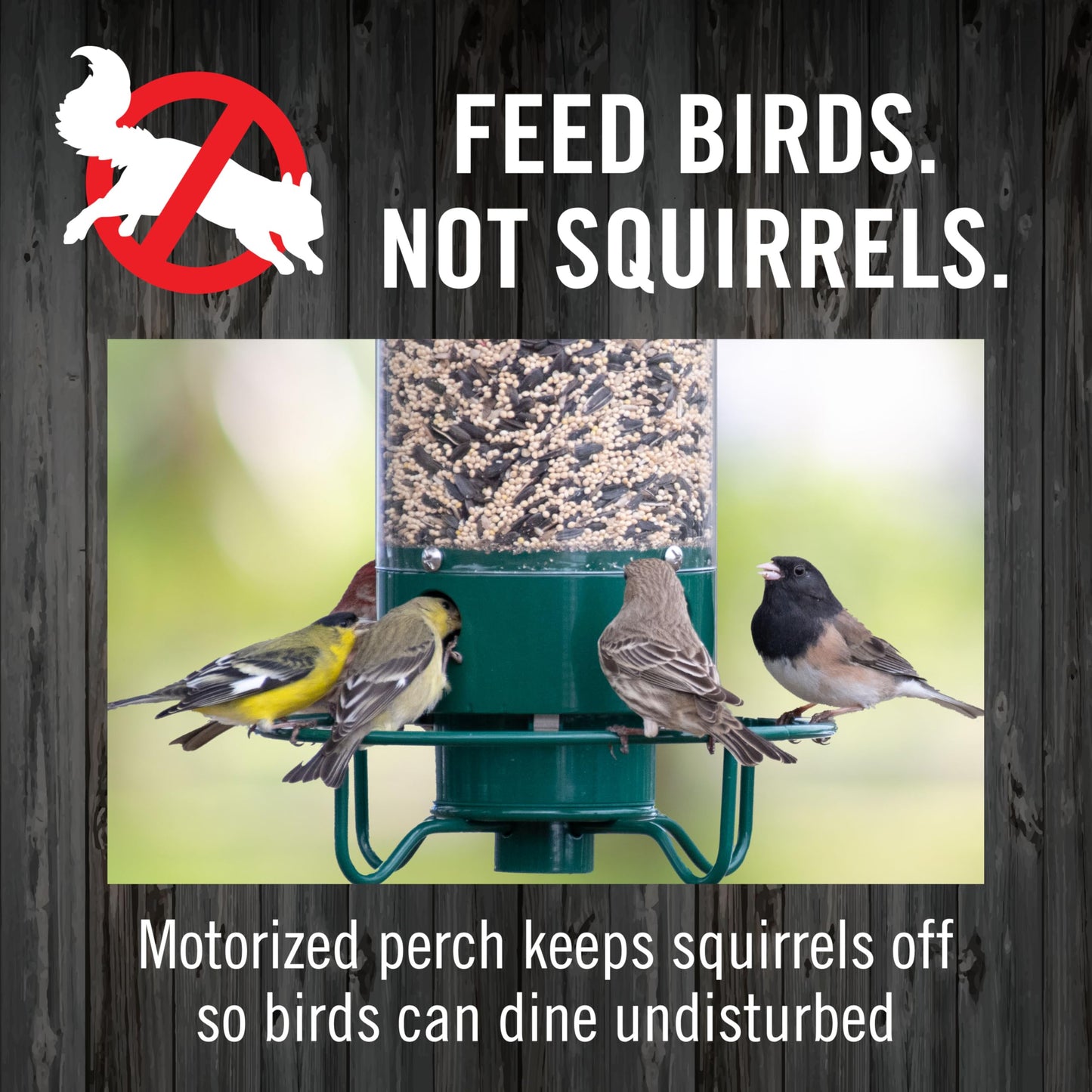 Droll Yankees Squirrel Proof Bird Feeder for Outdoors – Rechargeable Weight-Activated Rotating Perch, 5lb Seed Capacity, Metal Base, UV-Stabilized Seed Tube, Hanging Green Yankee Flipper, YF-M