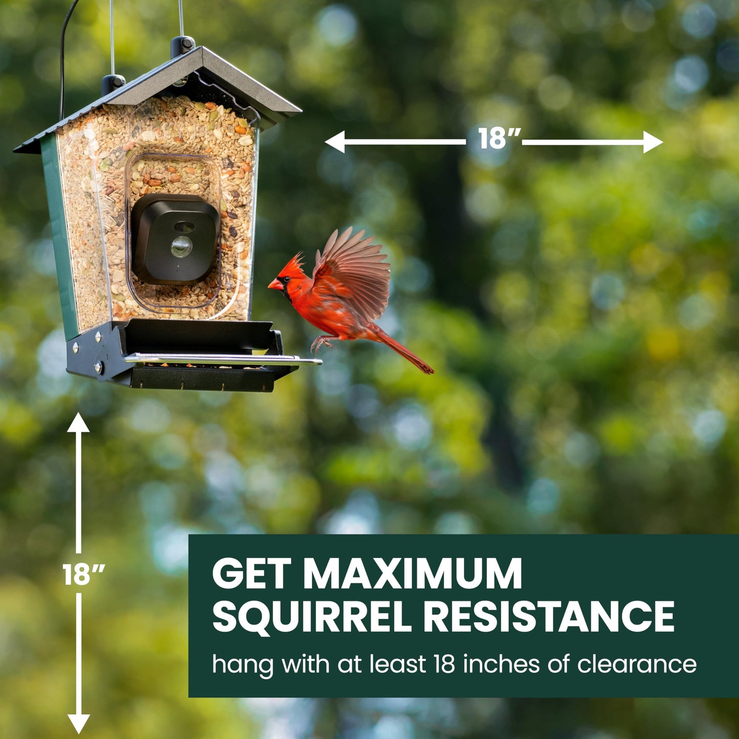 Perky-Pet Solar Powered Smart Bird Feeder with Camera - Squirrel-Resistant, 3.2L Capacity, Motion Activated 1080p HD WiFi Live Stream Camera, SPCAM, SPCAMSLR - Camera Feeder Gift Idea, Forest Green