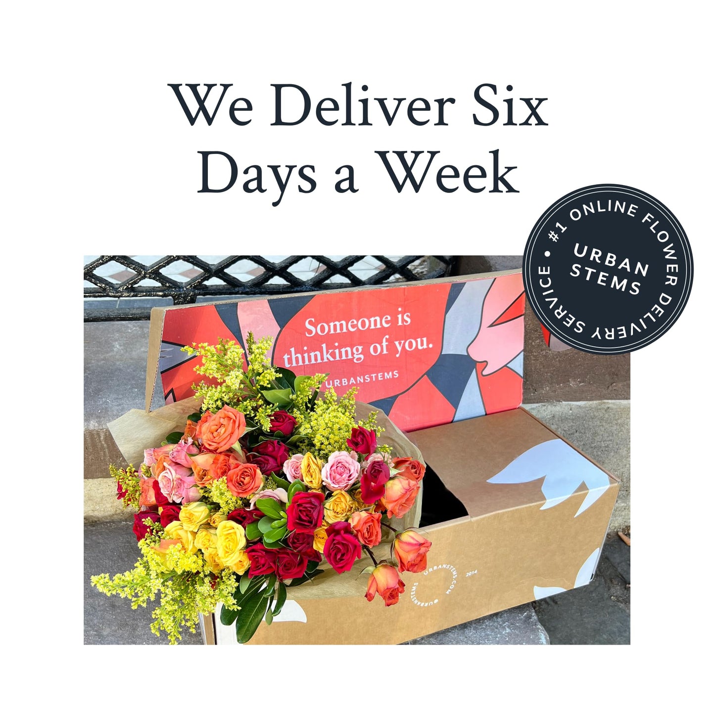 UrbanStems – The Dove Bouquet (No Vase) – Fresh Flowers for Delivery – Gift for Birthday, Thank You, Sympathy, Thinking of You, Friendship