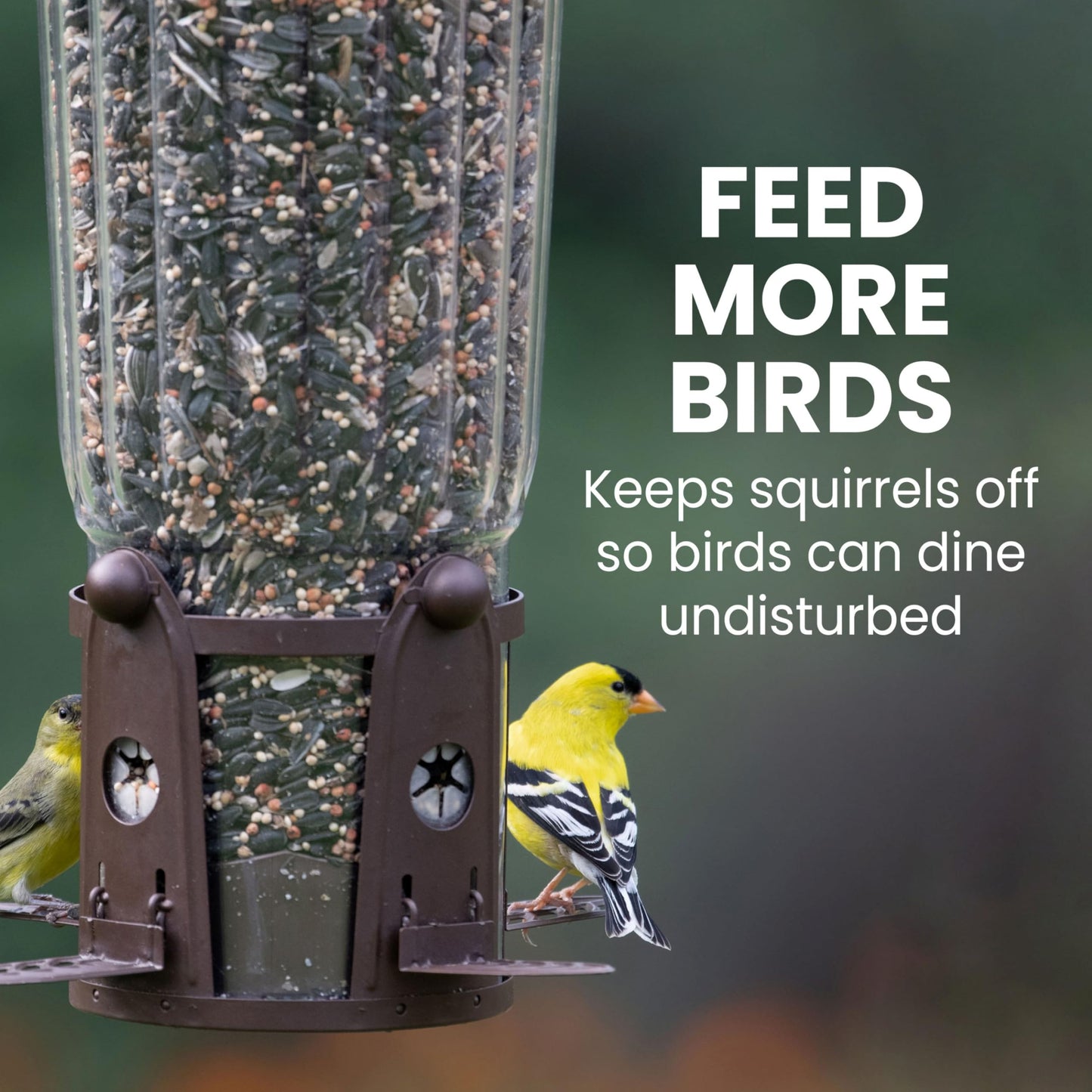Perky-Pet 334-1SR Squirrel-Be-Gone Max Large Wild Bird Feeder with Flexports, Squirrel Proof Bird Feeder with Weight-Activated Perches - 4LB Seed Capacity