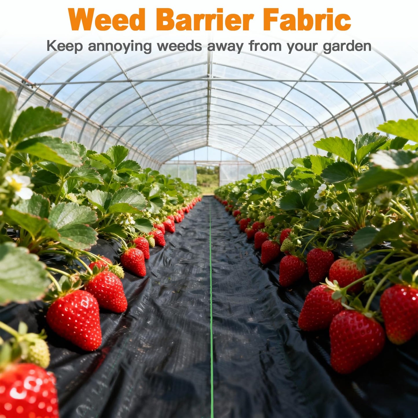 AMAGABELI GARDEN & HOME 4ft x 100ft Weed Barrier Landscape Fabric 5.8oz Garden Cloth Heavy Duty Weed Control Blocker Mat Gardening Ground Cover Durable Woven Geotextile Fabric Driveway Underlayment