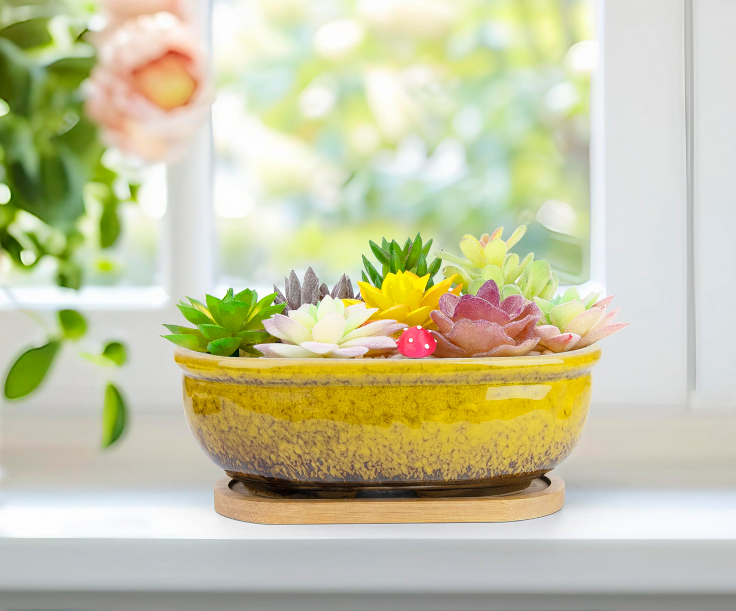 Succulent Pots, 1 Rectangle Planter + 1 Ceramic Bonsai Pot with Drain Tray, 2 Pack Large Shallow Succulent Planters for Indoor Plants, Round Cactus Flower Plant Pot for Desk Windowsill Decor