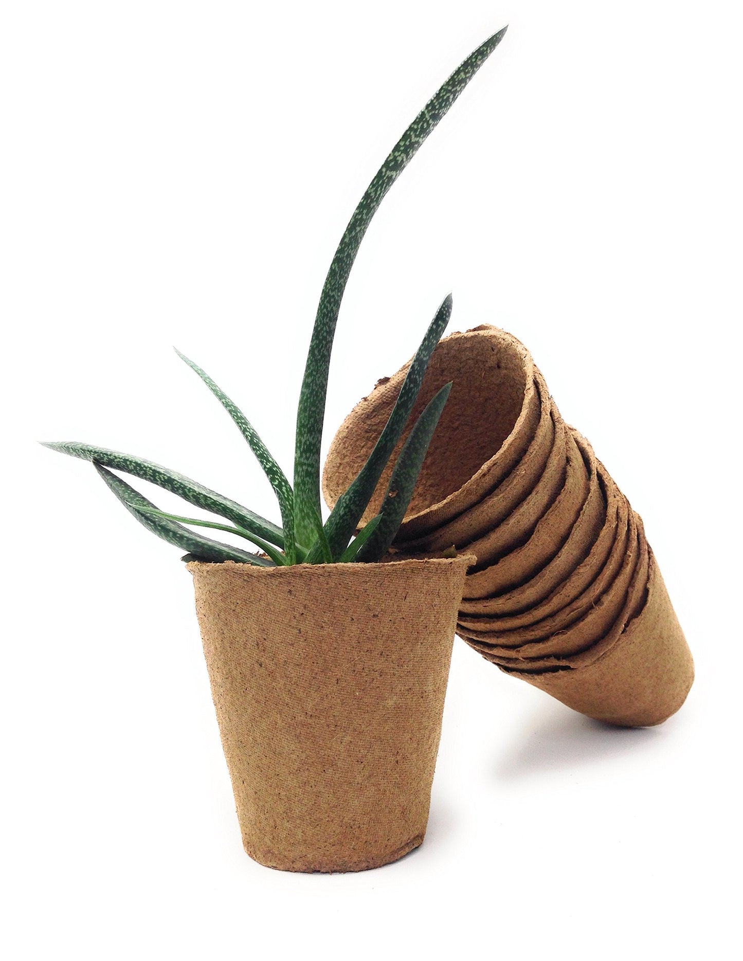 Br BRILLANTE Plant Starter Peat Pots - 30 Pack of 4 Inch Pots for Your Garden, Greenhouse or Nursery - Ideal for Organic Seed Planting & Gardening